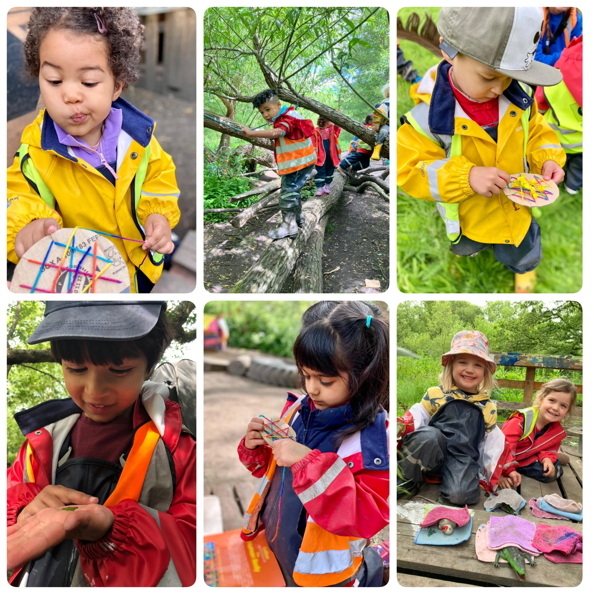Wimbledon - The Meadow Full of Buttercups!