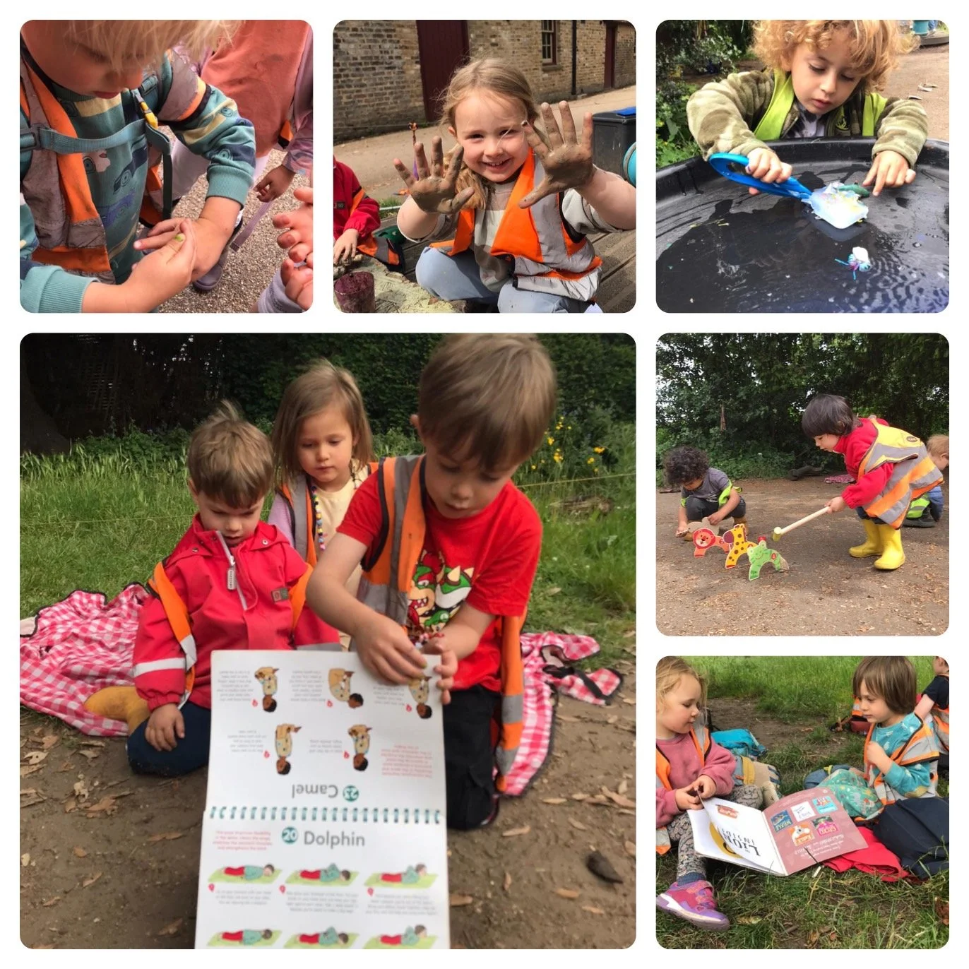 Fulham - Mini Beasts Science Experiment!