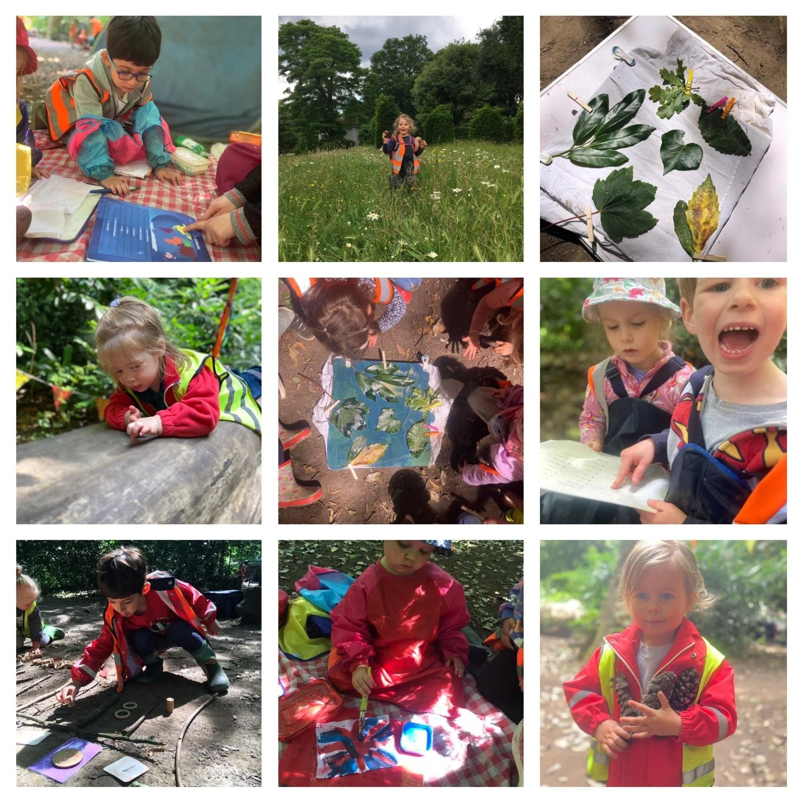 Chiswick - Mathematics in Nature!