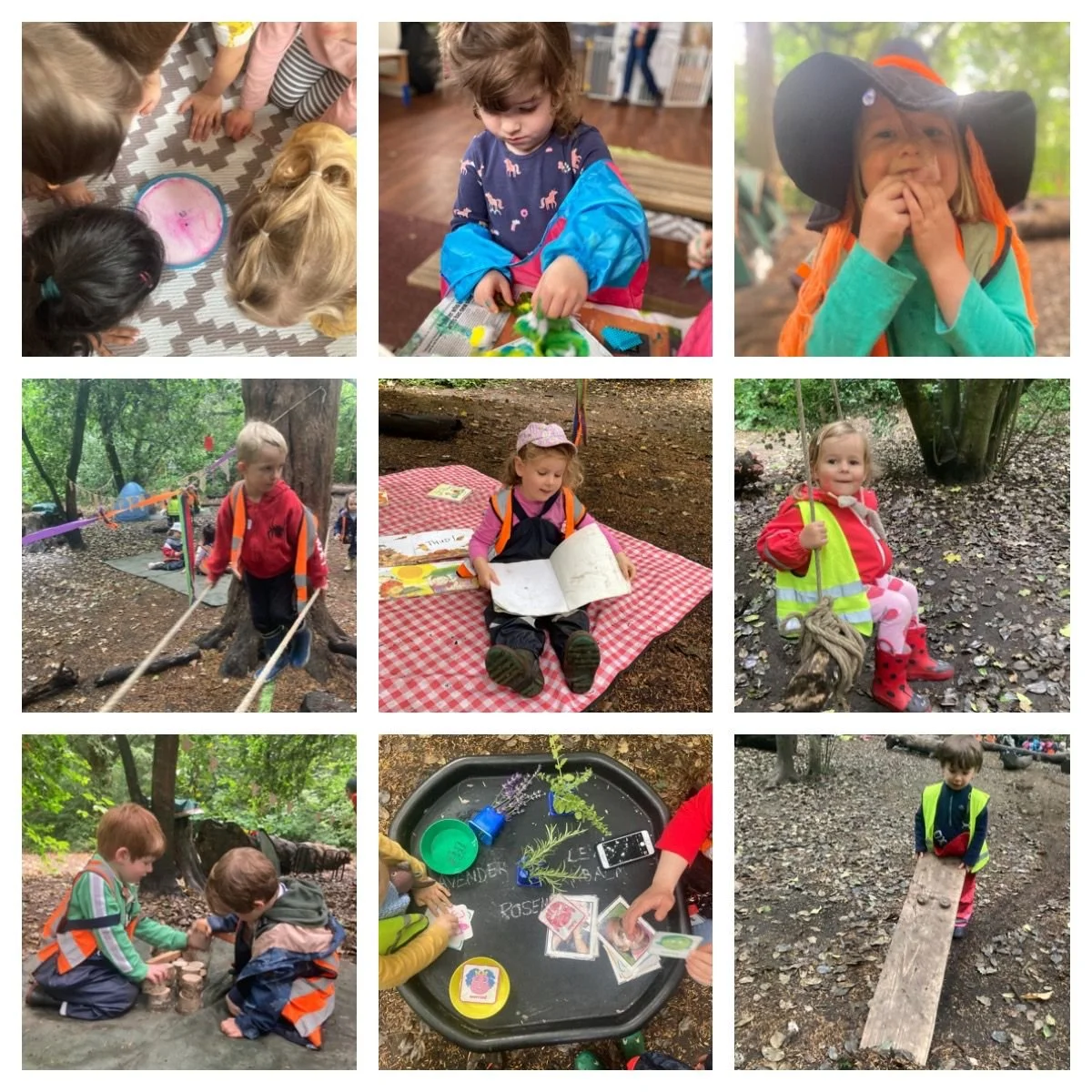 Chiswick - Owl Babies and Superworm!