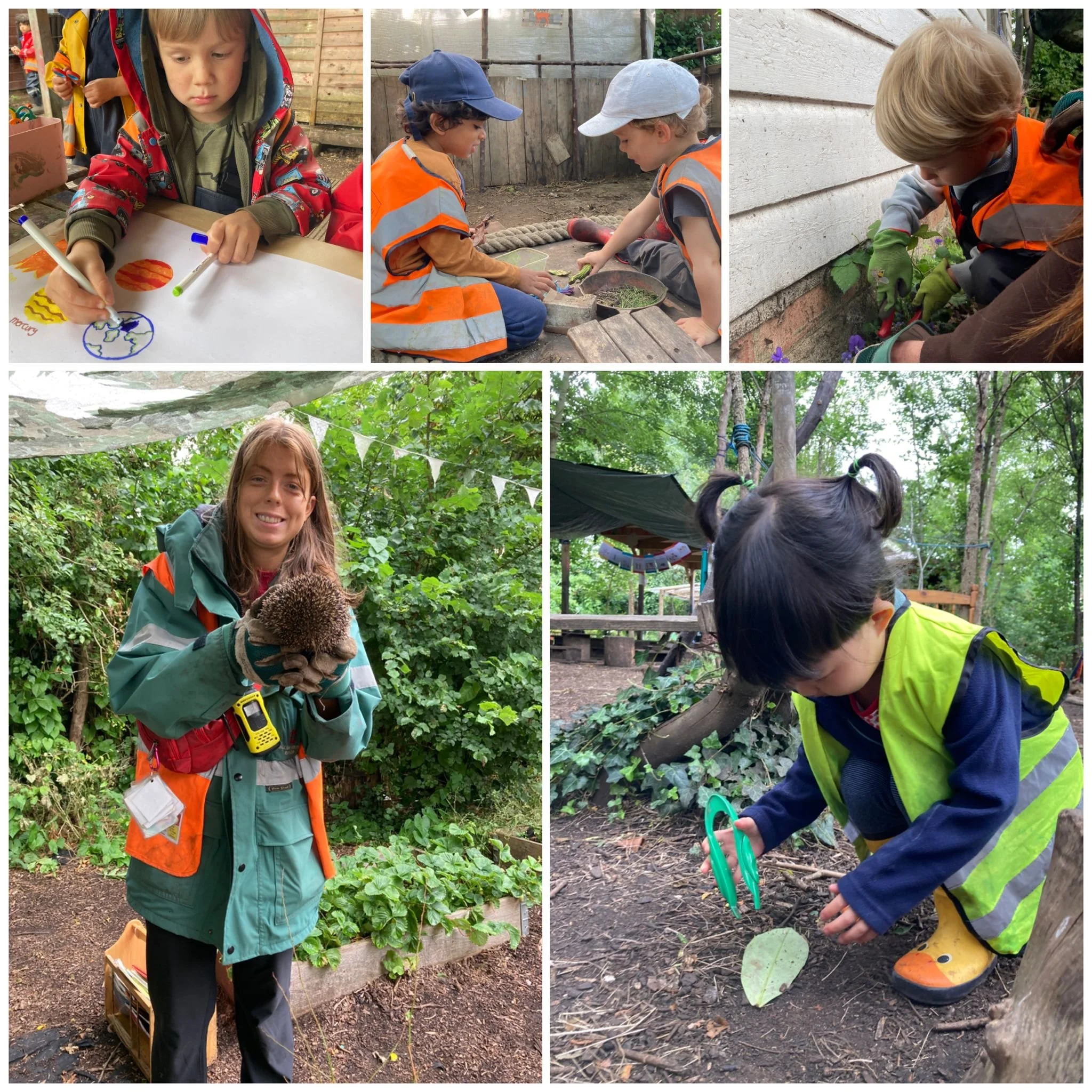 Morden - Woodland Friends!