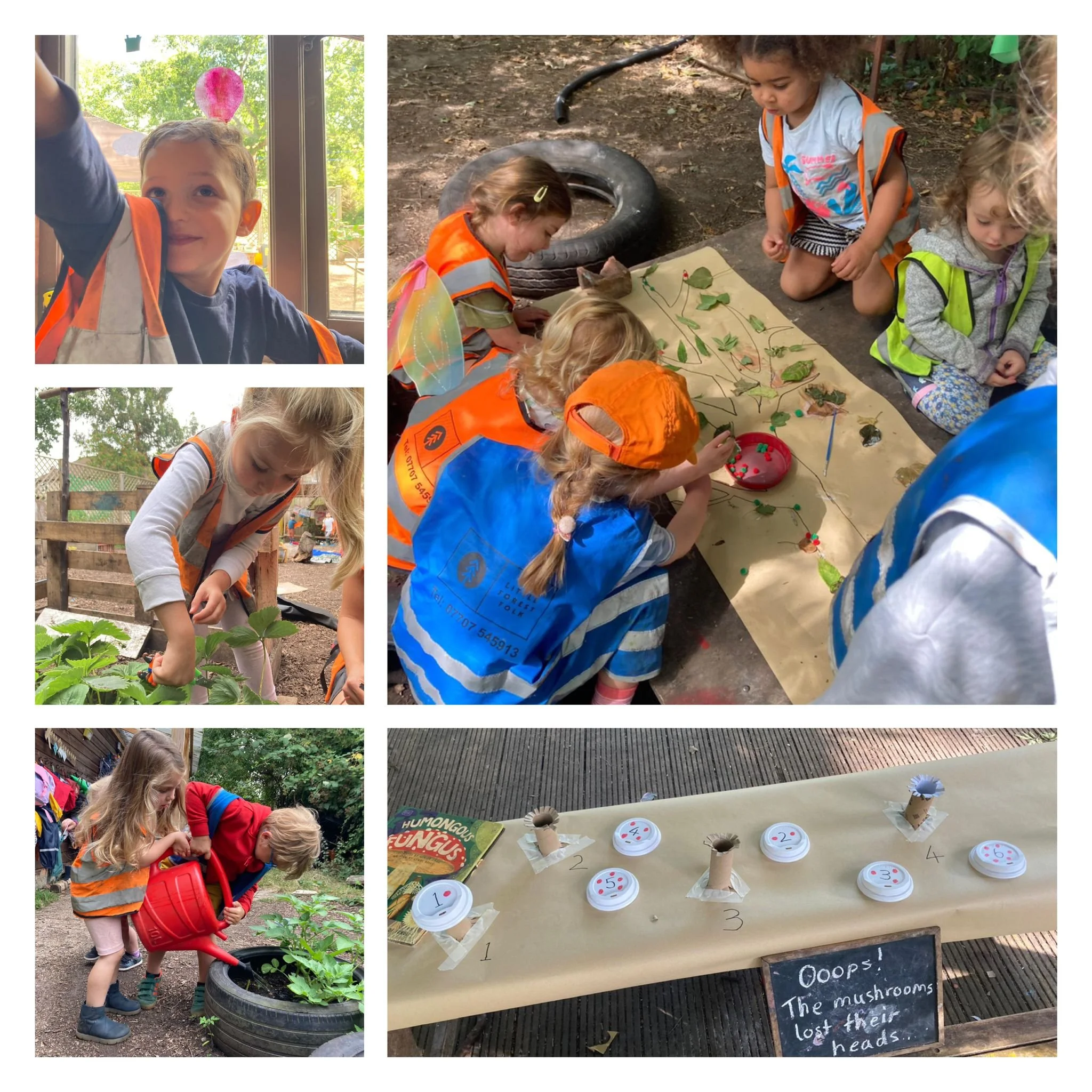 Morden - The Lost Winter Tree & Our Little Mushroom Babies!