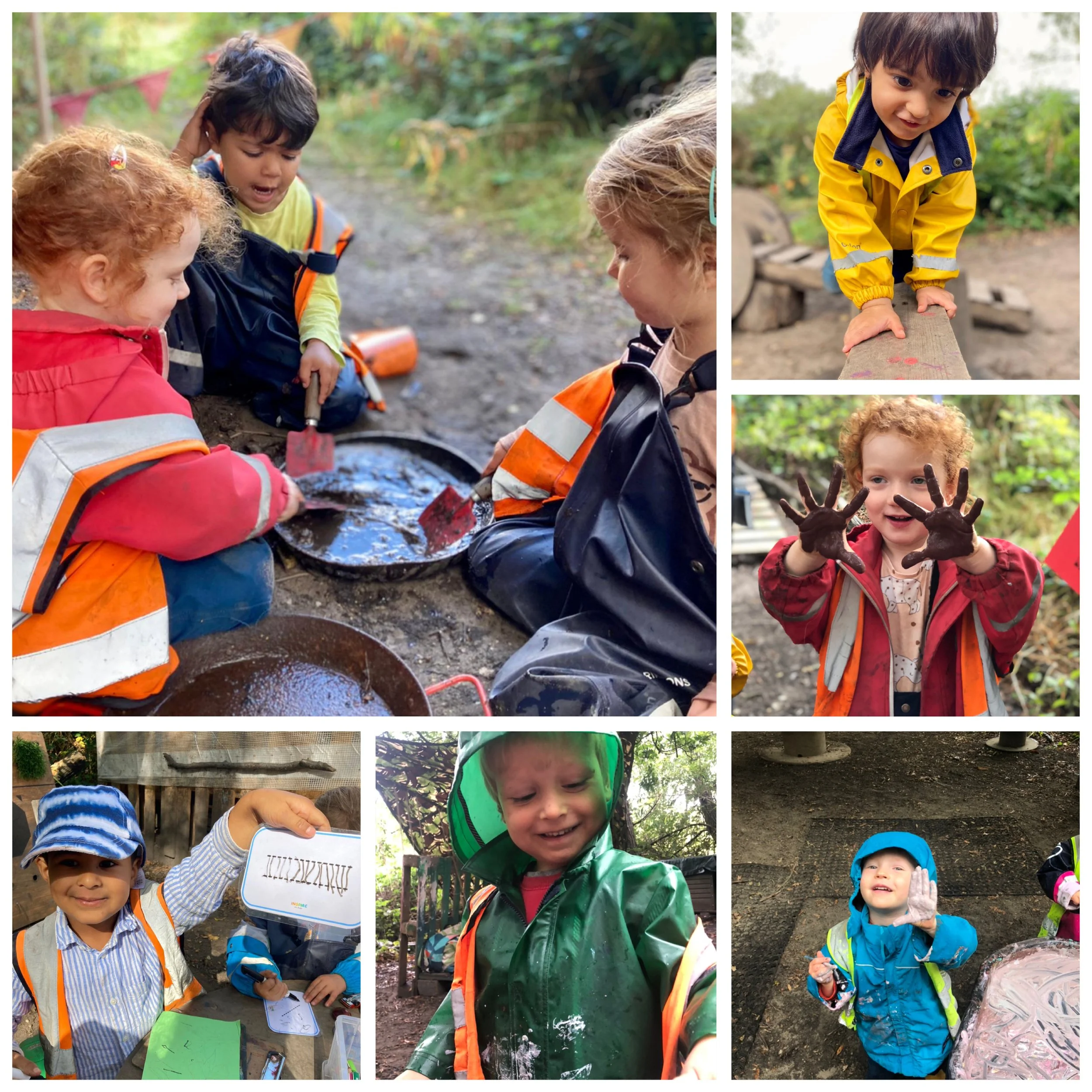 Wimbledon - Jungles, Animal Houses and Animal Songs!