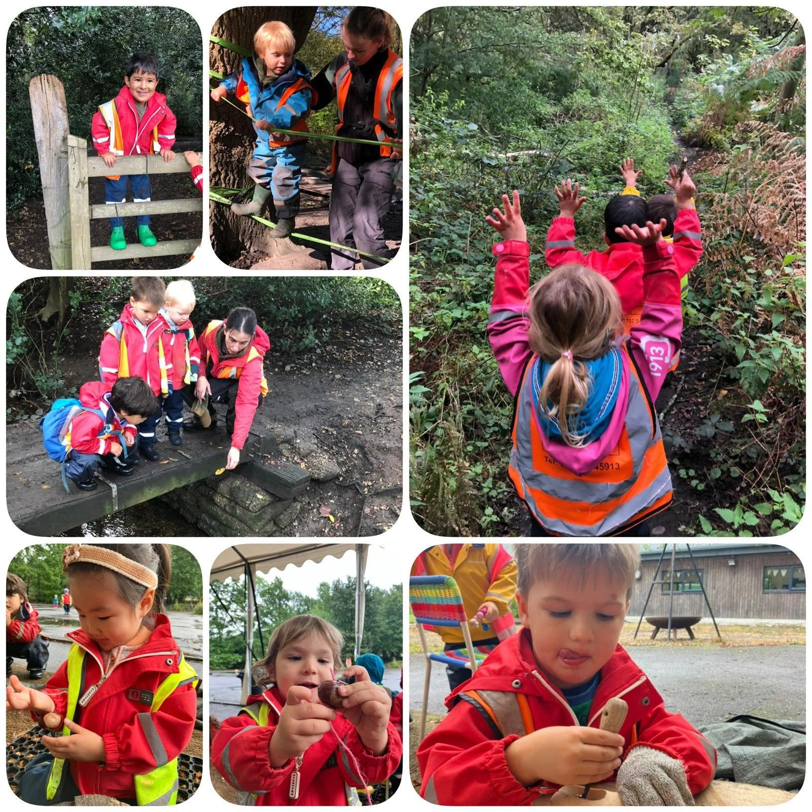 Wimbledon - Who Wants To Go For An Adventure Walk?&nbsp;