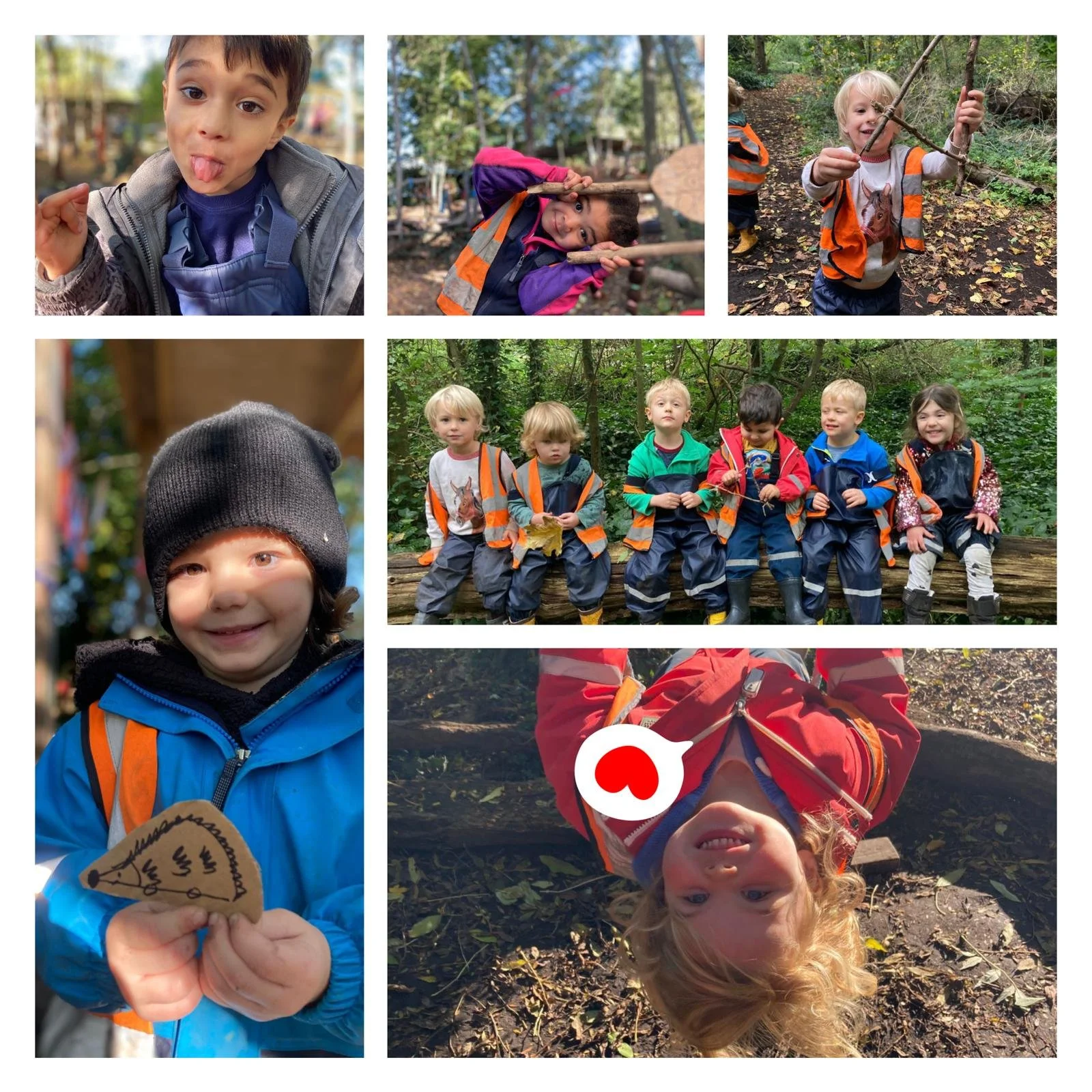 Morden - Little Spiderlings!