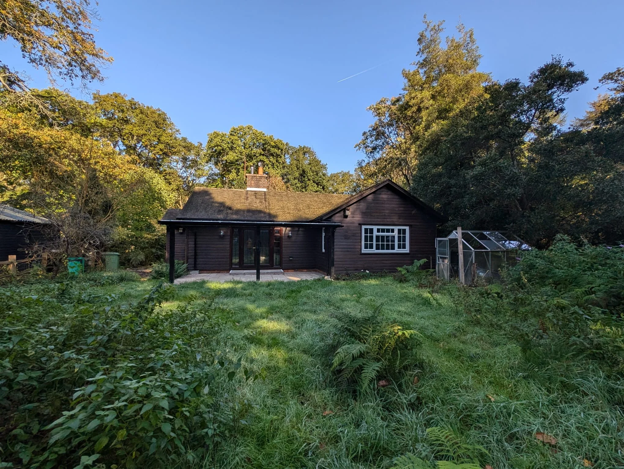 WhatsApp Image 2024-10-11 at 14.11.35.jpeg