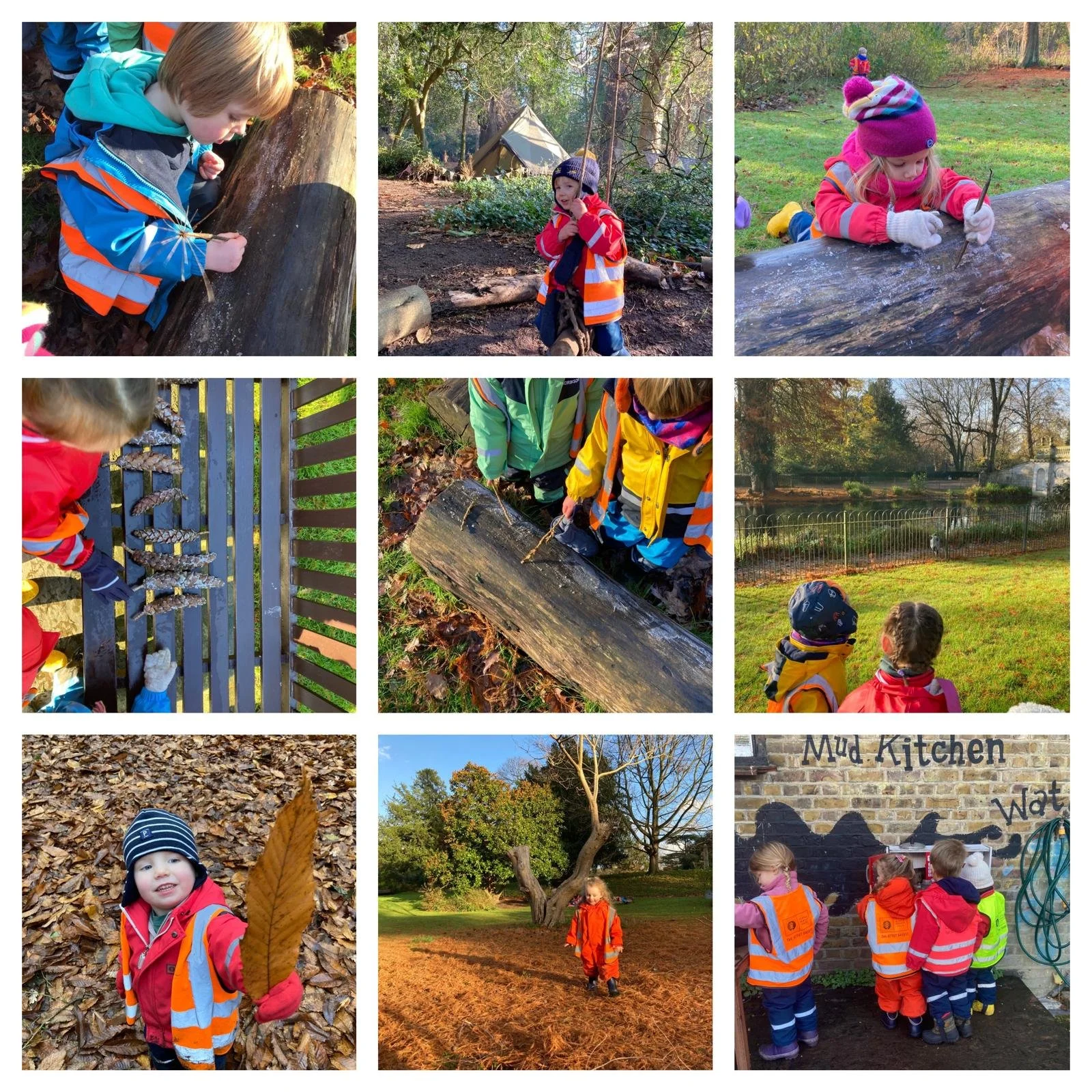 Chiswick - Sounds of the Forest!