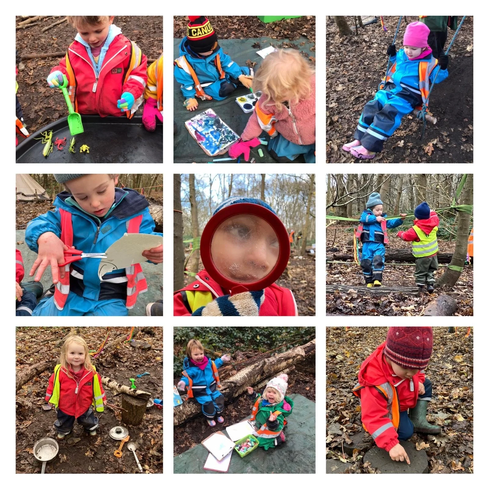 Wimbledon Village -  Bugs, Grubs &amp; Mini Beasts!