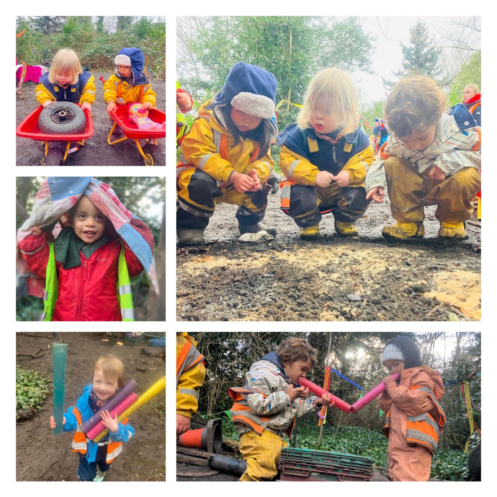 Twickenham - Slugs, Songs and Sweet Sayings