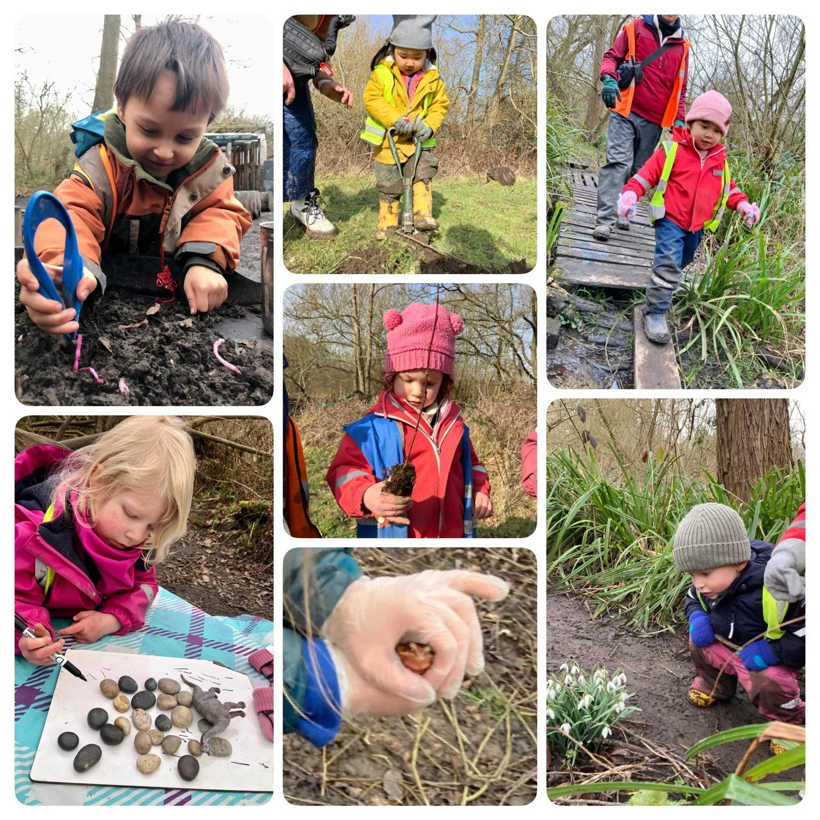 Wimbledon - Little Signs of Spring!