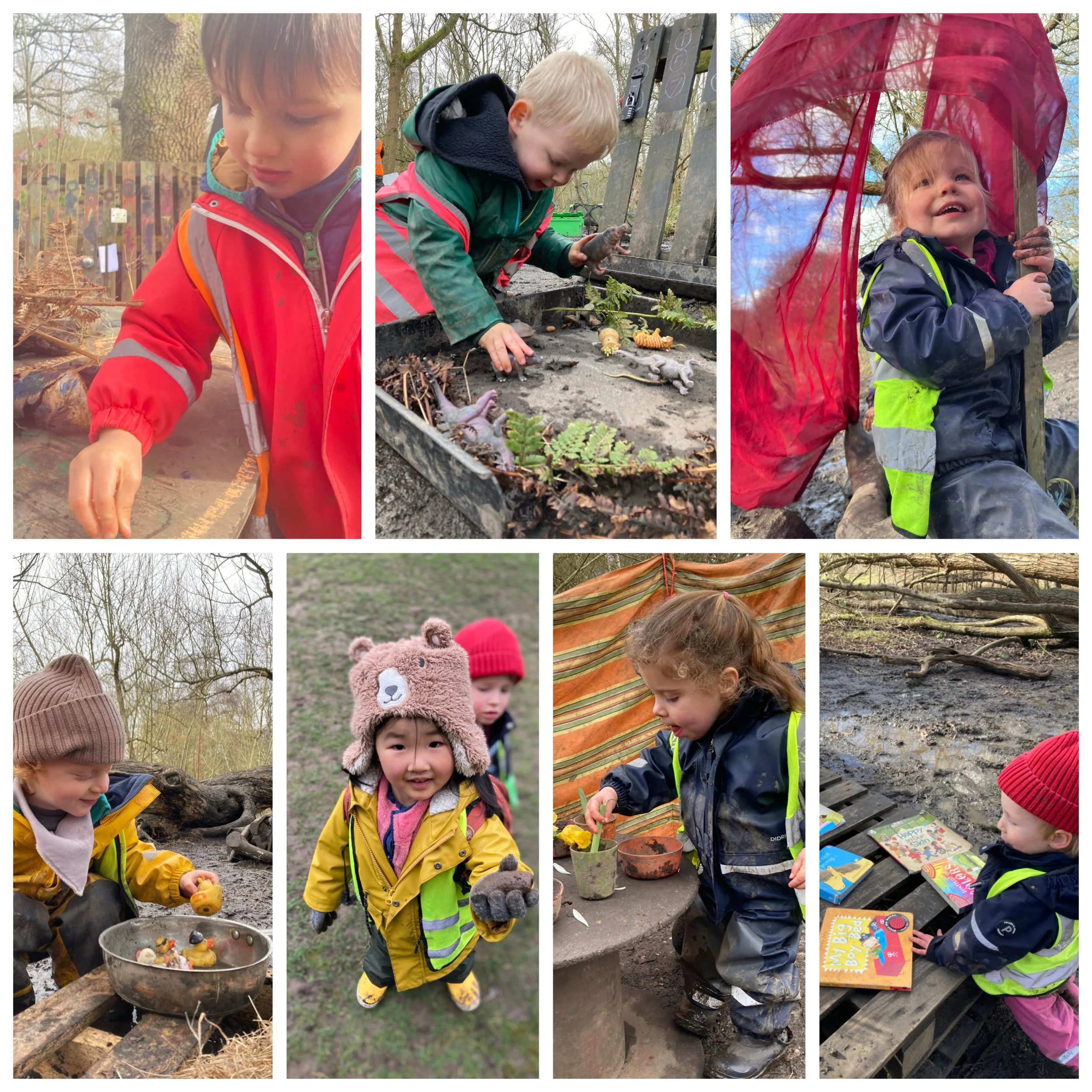 Wimbledon - Daffodils, Snowdrops and Blossom!