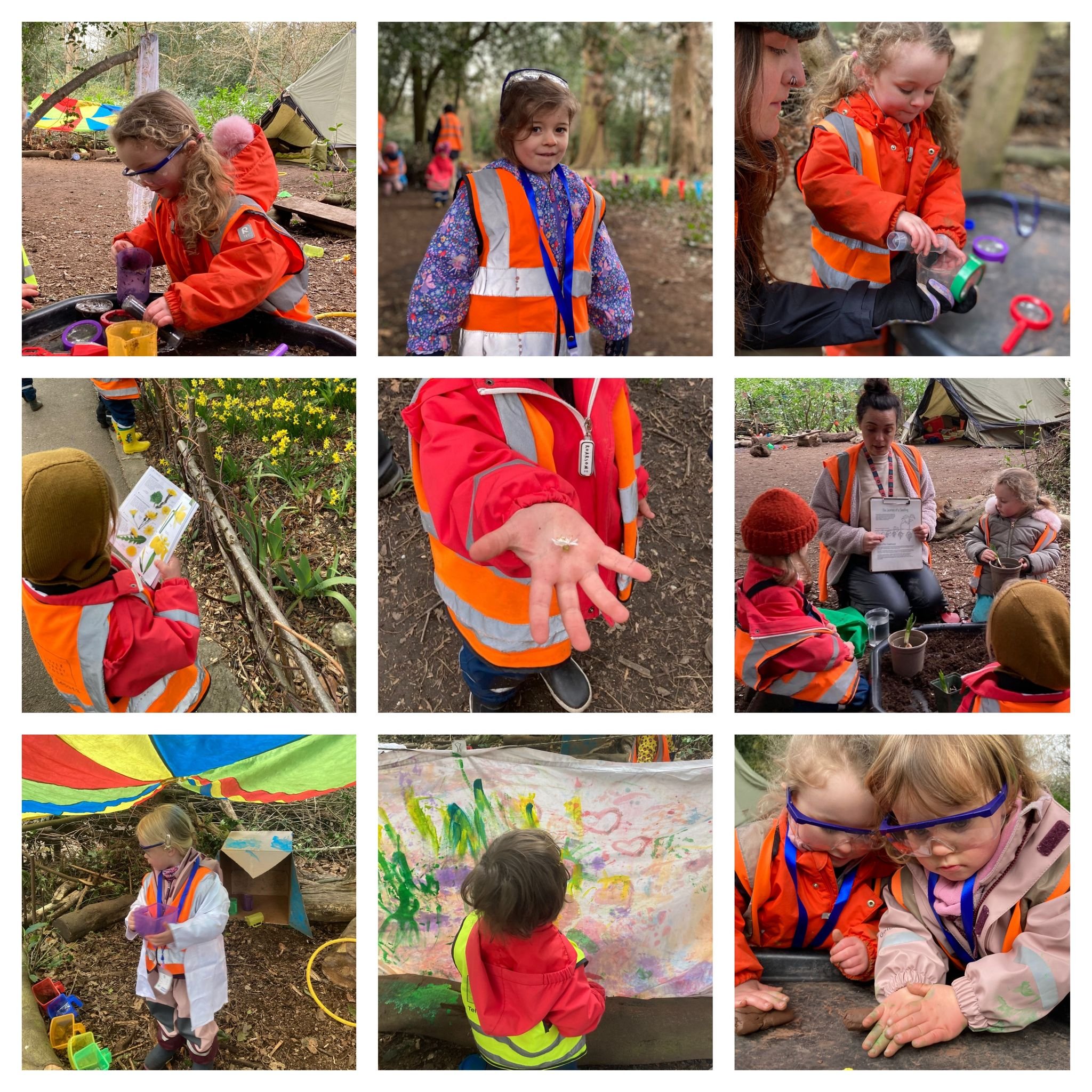 Chiswick - Science Week!