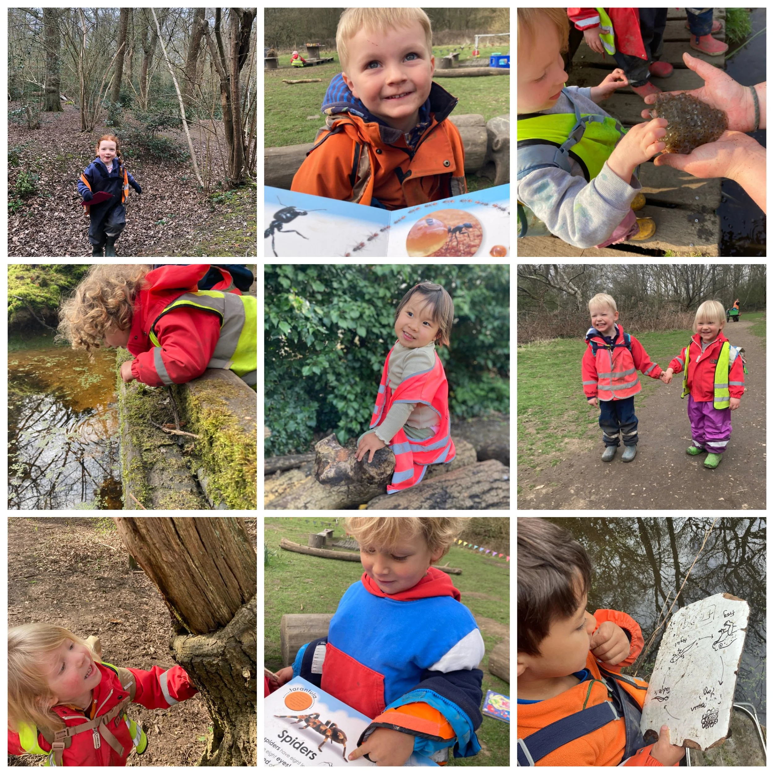 Wimbledon - From Frogs &amp; Bugs to Pirate Ships &amp; Mother's Day!