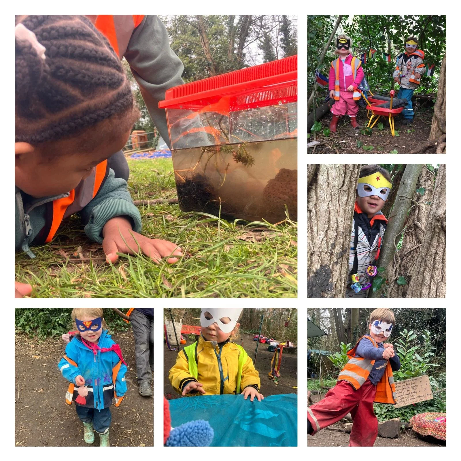 Twickenham - Superheroes and Tadpoles!