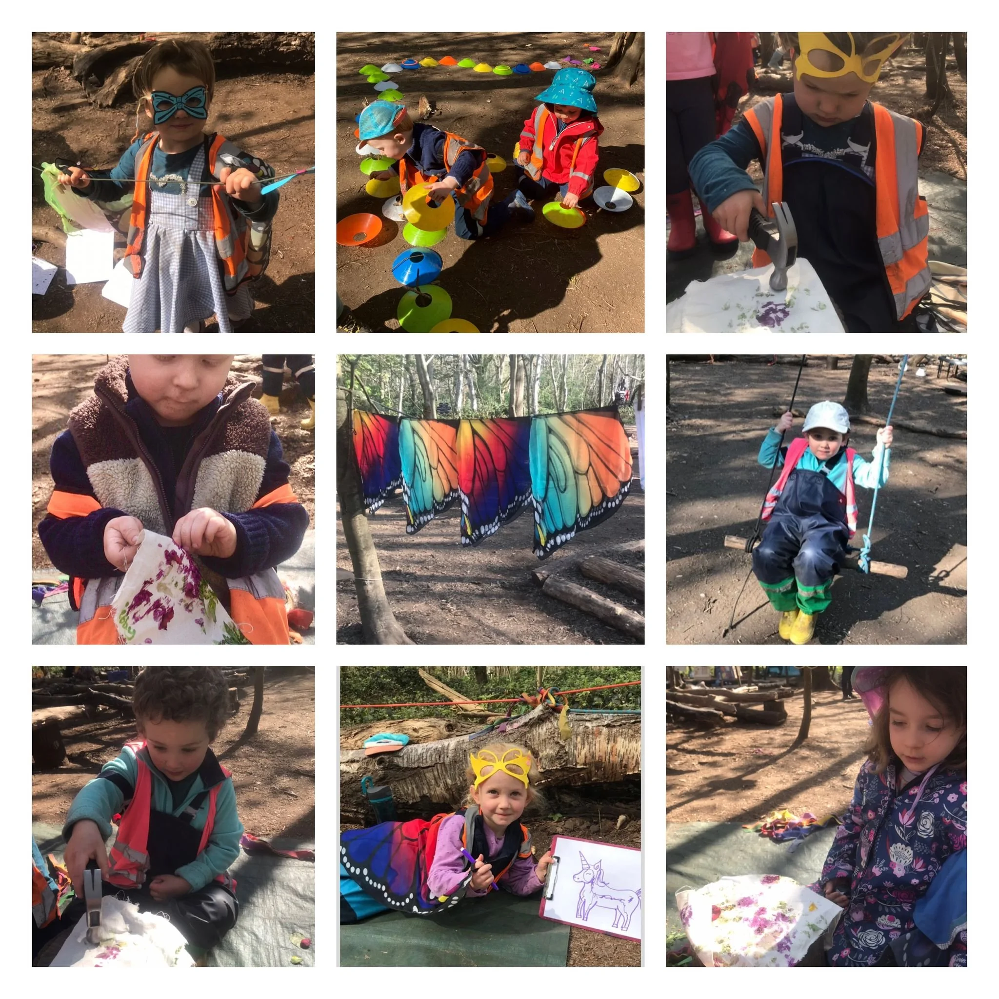 Wimbledon Village - Butterfly Lifecycles