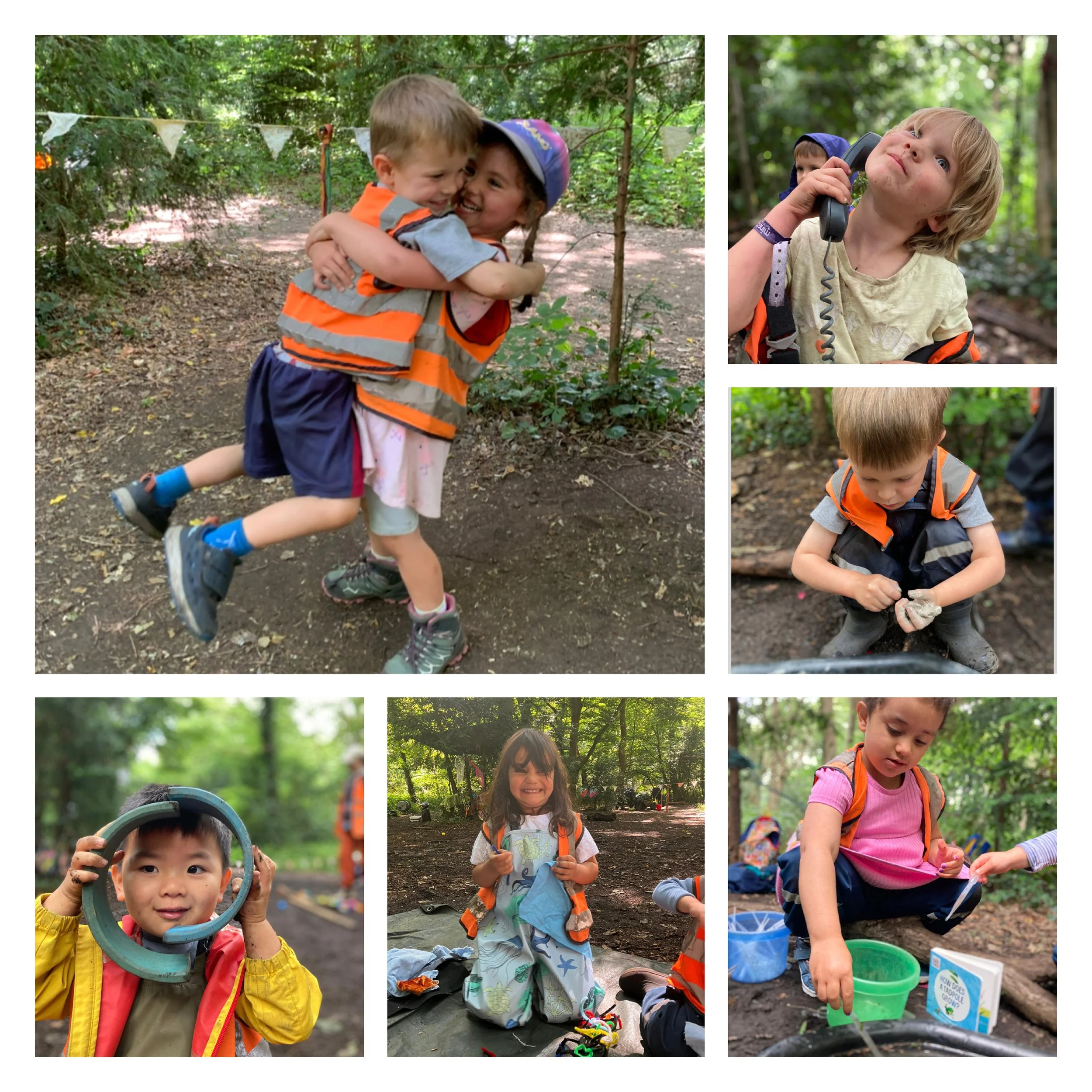 Putney Heath -Life Cycles!
