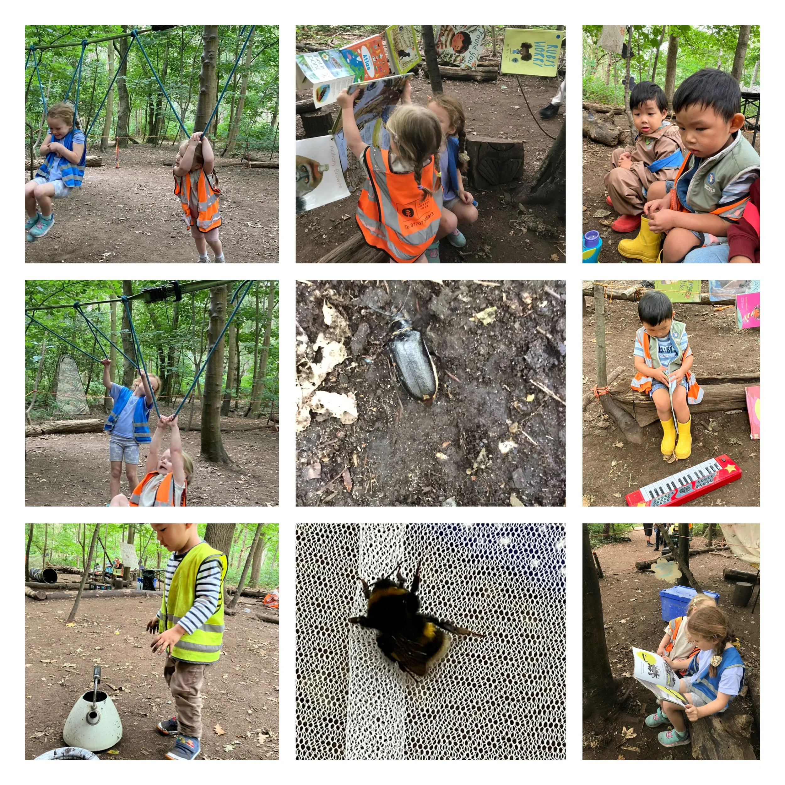 Wimbledon Village - Music and Melody in the Forest!