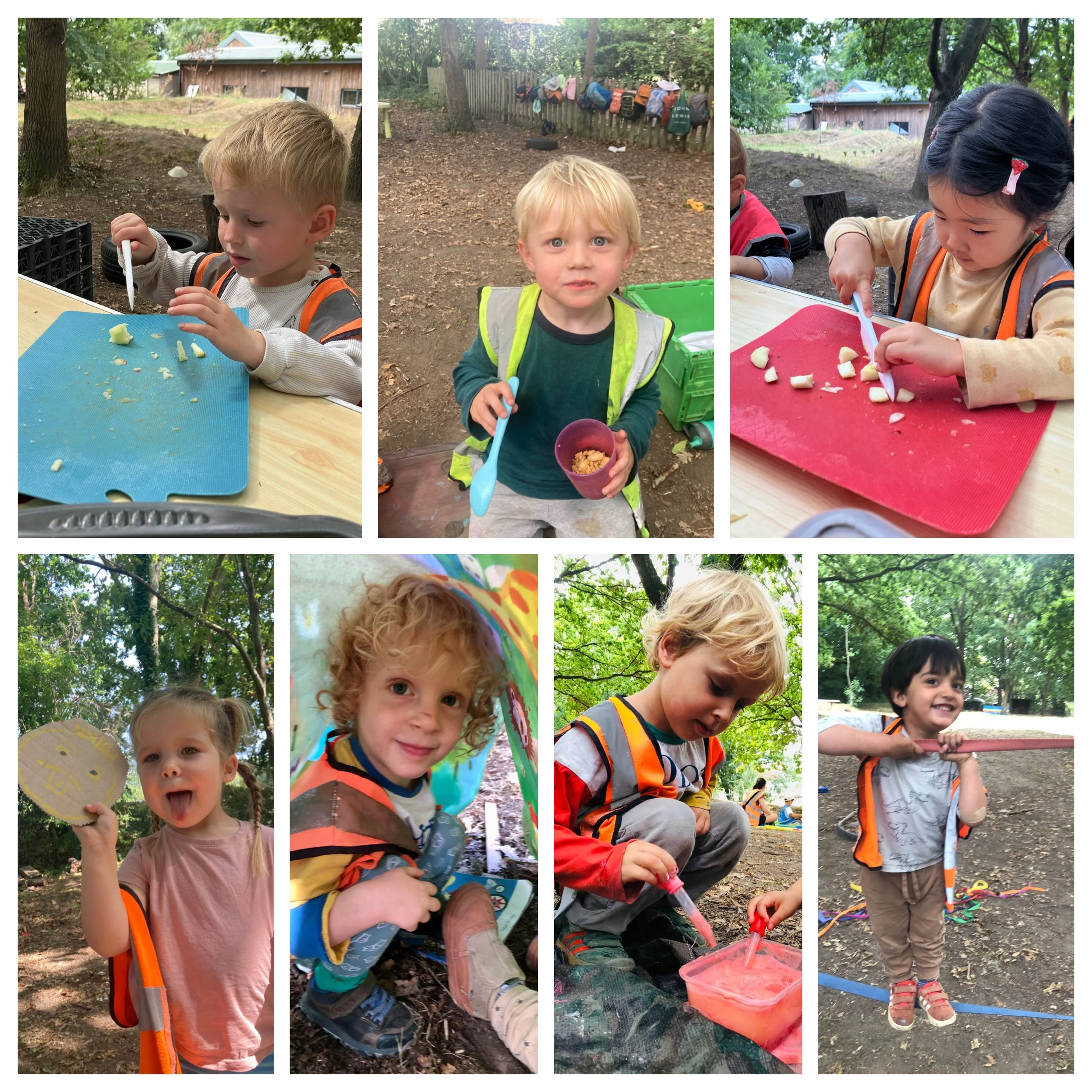 Wimbledon -Frogs and Tadpoles at Little Forest Folk