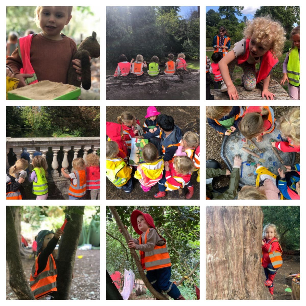 Chiswick -  Exploring and Learning in the Forest.