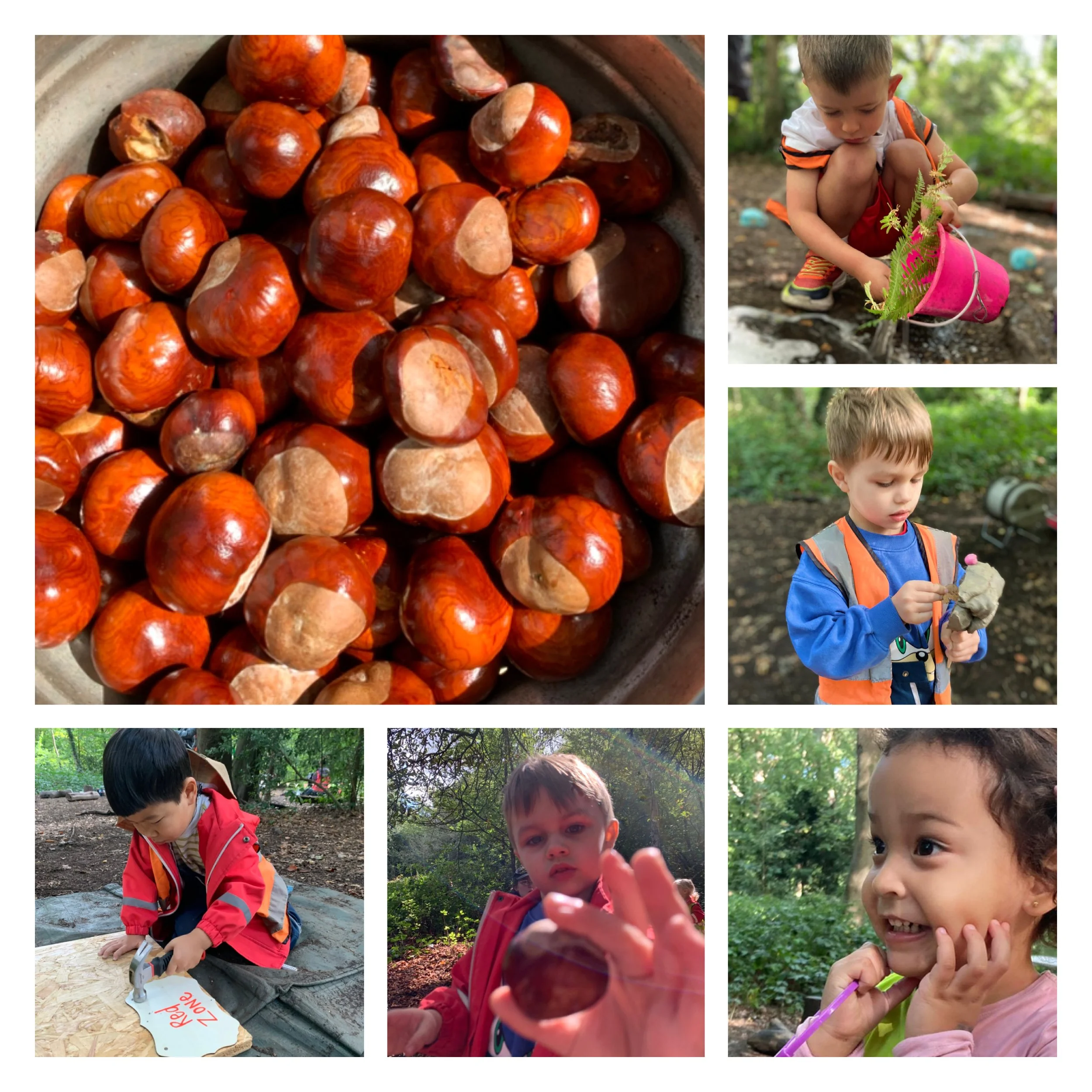 Little Forest Folk Putney - Sunshine, Rain and Thunderstorms!
