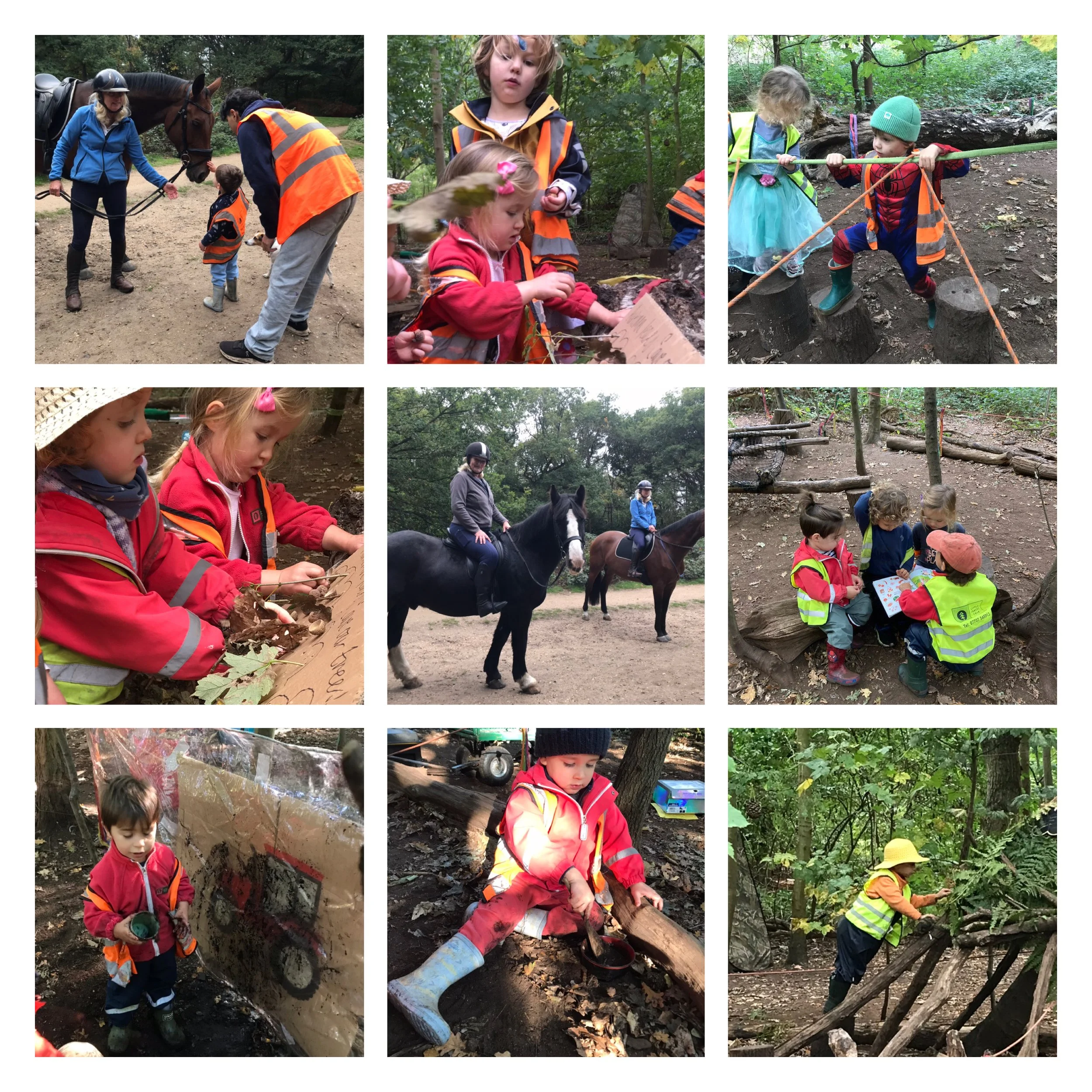Wimbledon Village - Continuing Our Farm Theme and Forest Horses