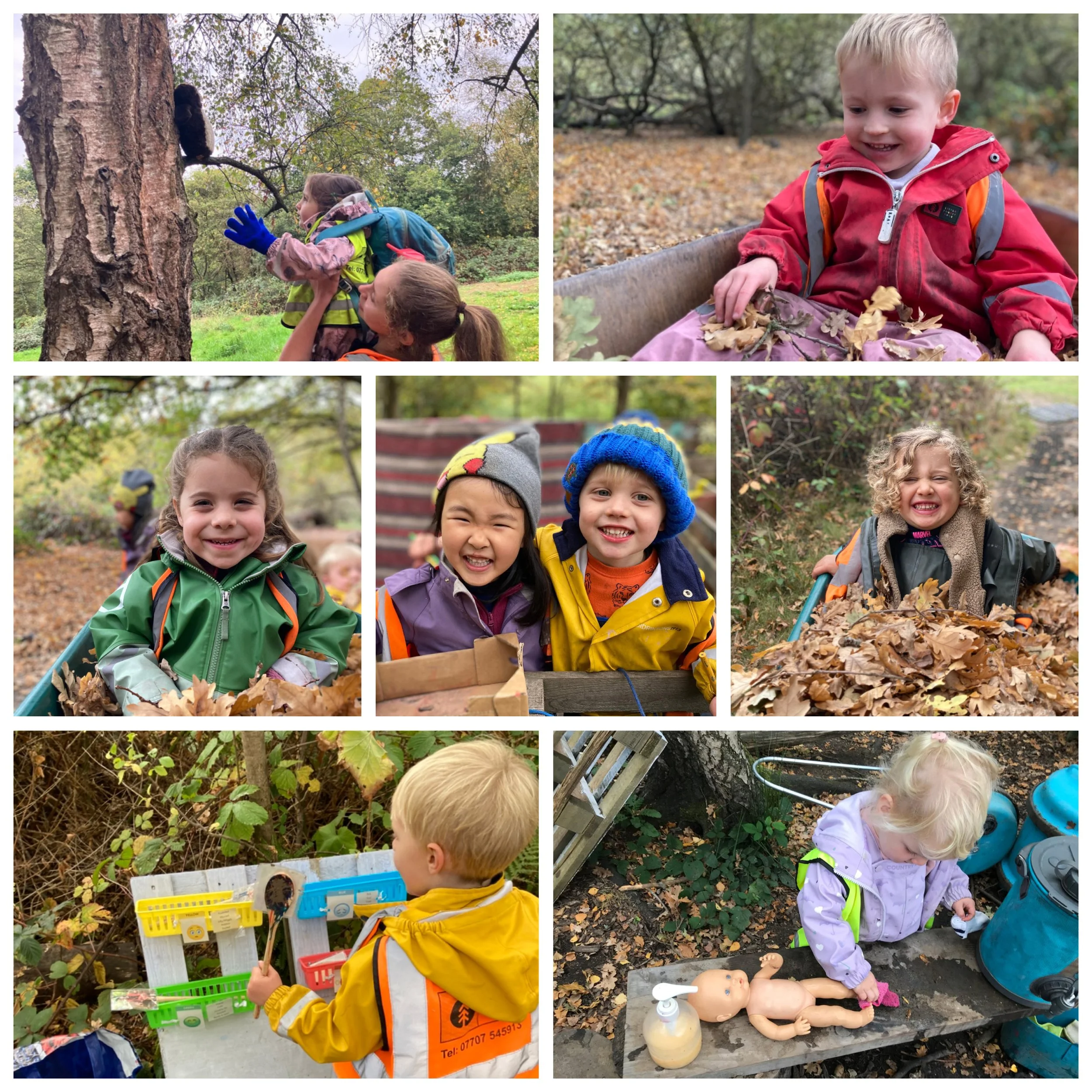 Wimbledon - The Gruffalo and Fishpond Woods