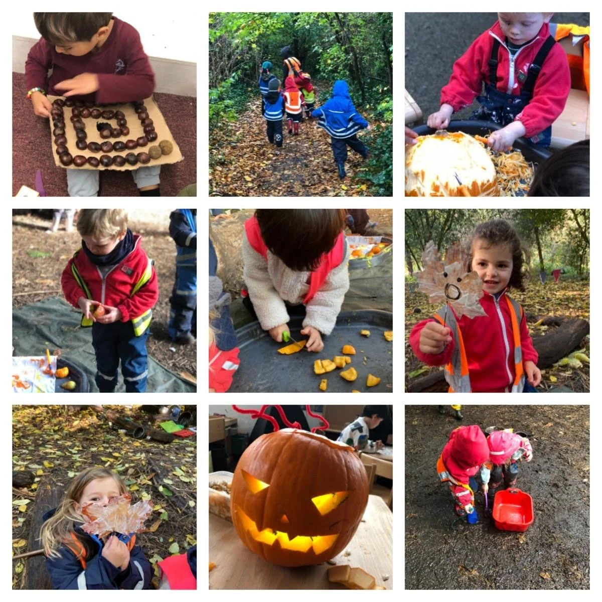 Chiswick - Rainy Days in the Forest