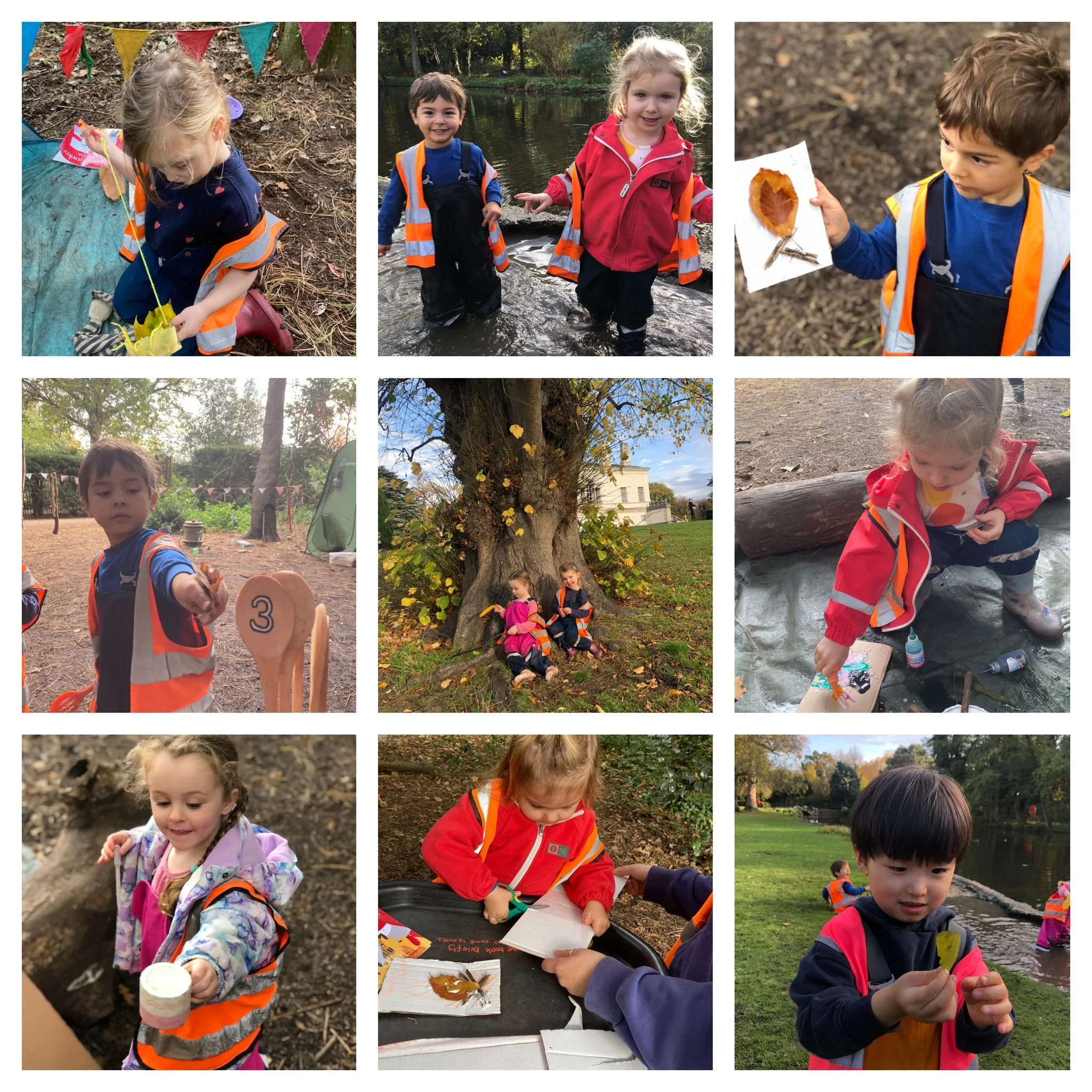 Chiswick - Crisp Autumn Air and Vibrant Colours all Around