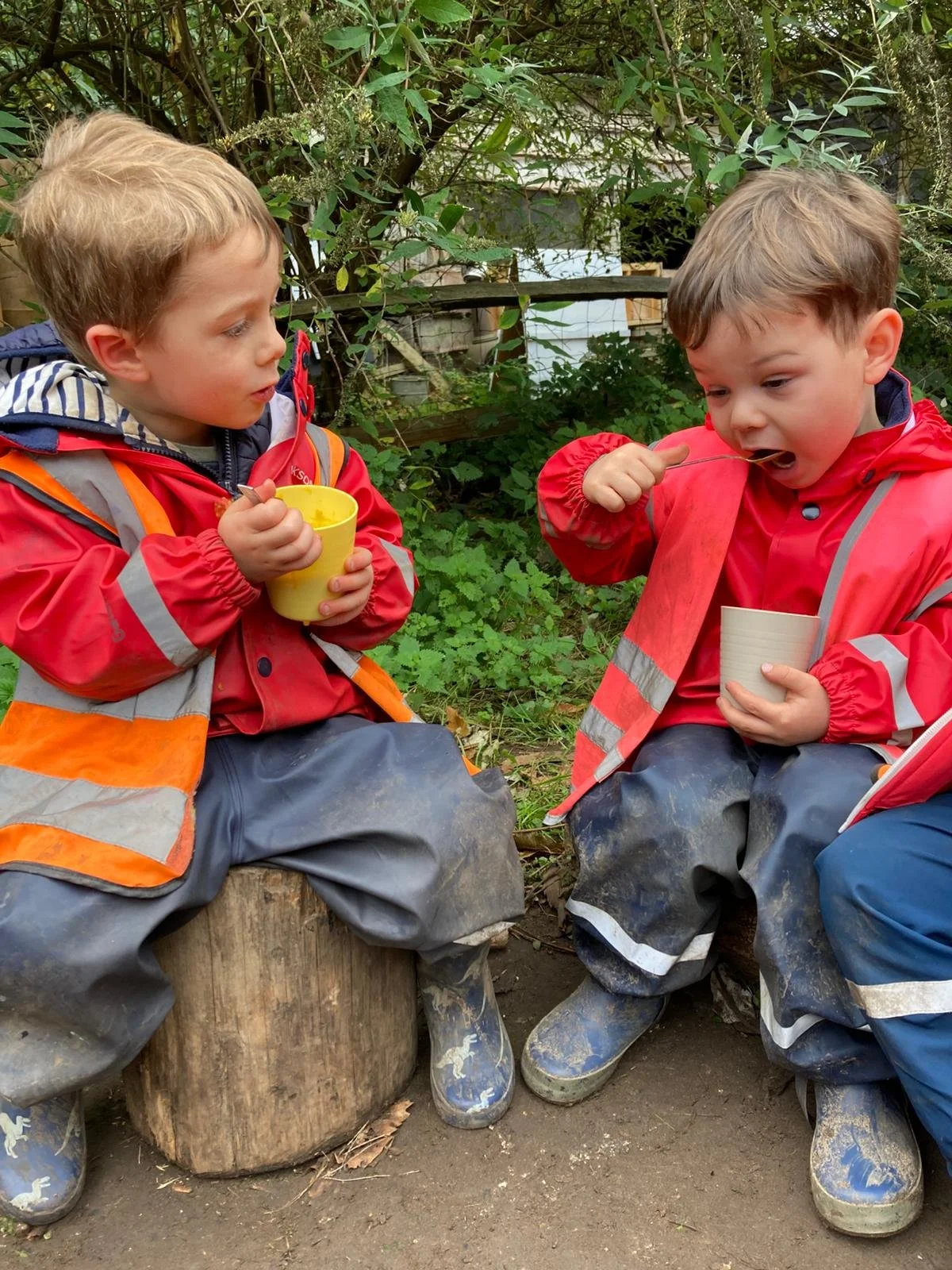 WhatsApp Image 2025-10-15 at 15.37.25.jpeg