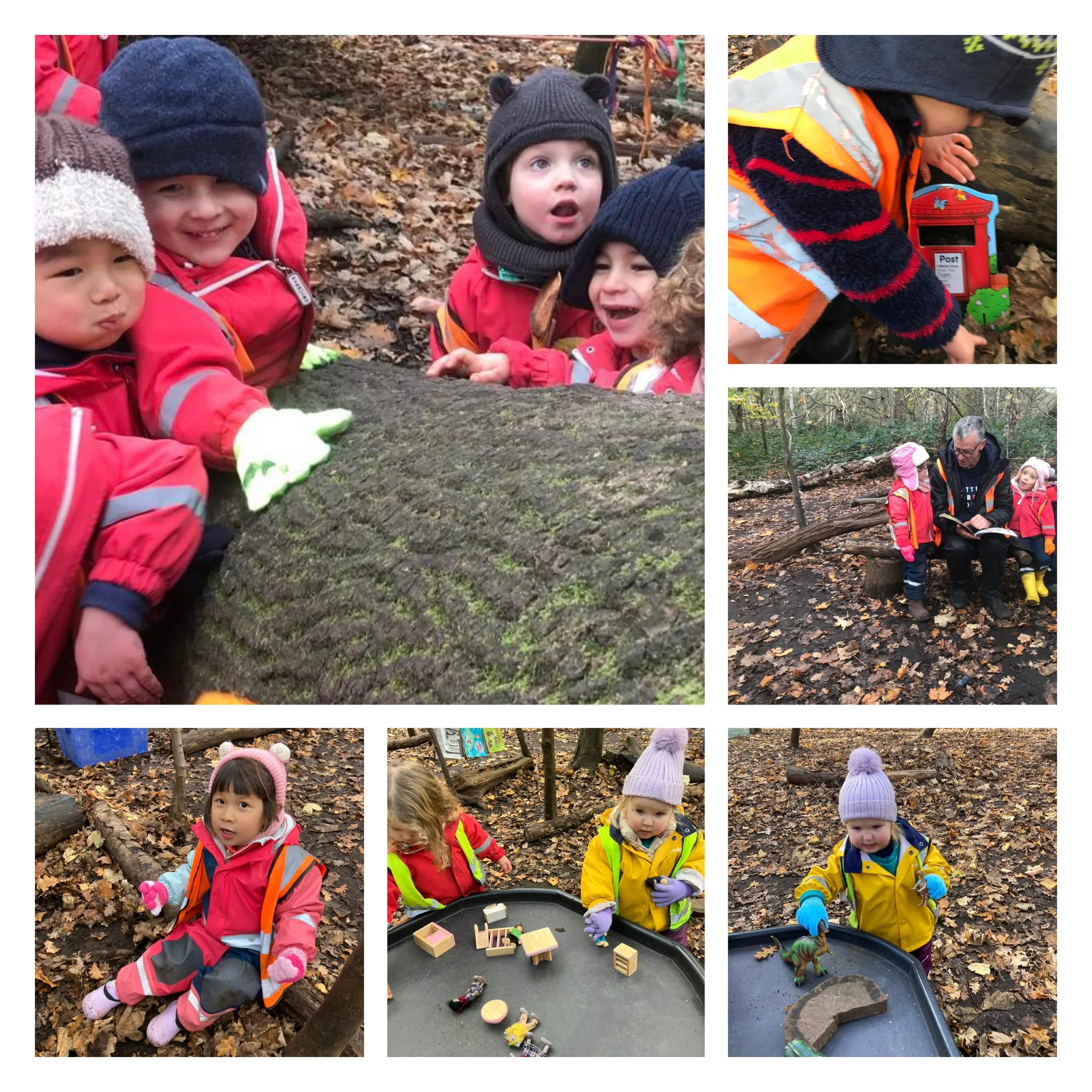 Wimbledon Village - Aurora Borealis and Welcoming Winter