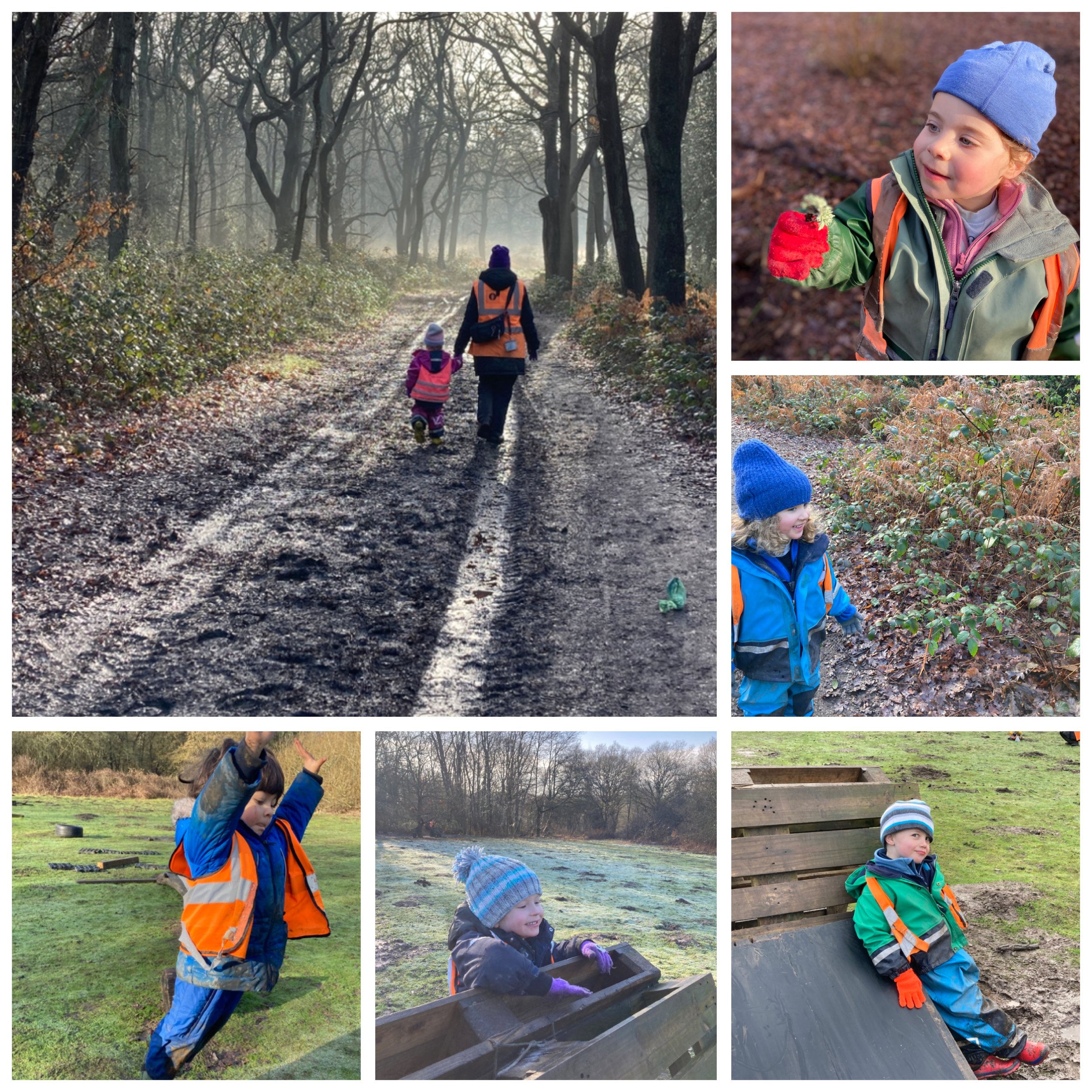 Wimbledon - Adventure Walks and Obstacle Course