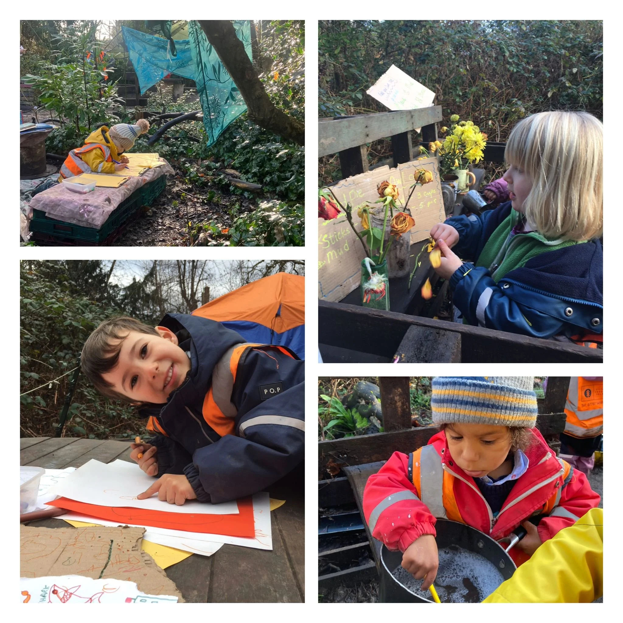 Twickenham - Robins, Black Birds,Magpies and Wagtails