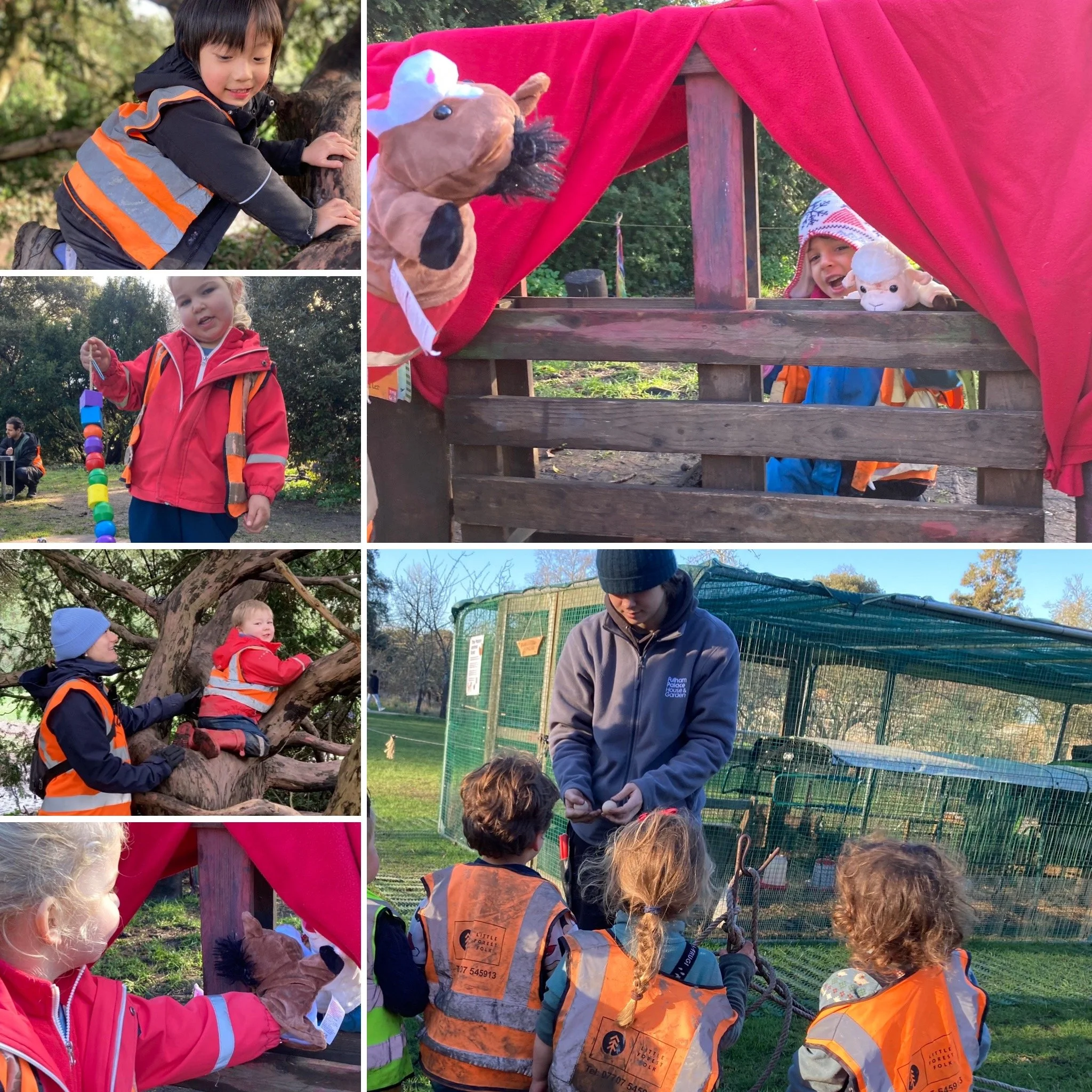 Fulham - Splashing, Jumping and Muddy Digging!