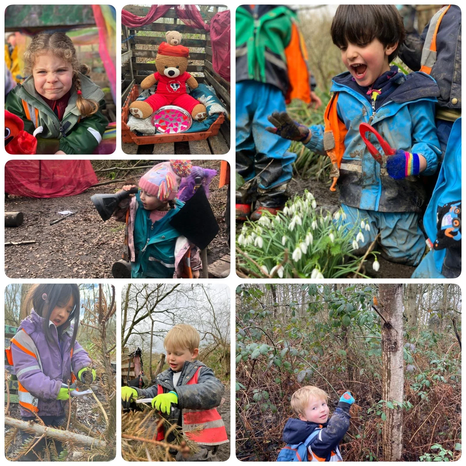Wimbledon - Christmas Tree Recycle Project