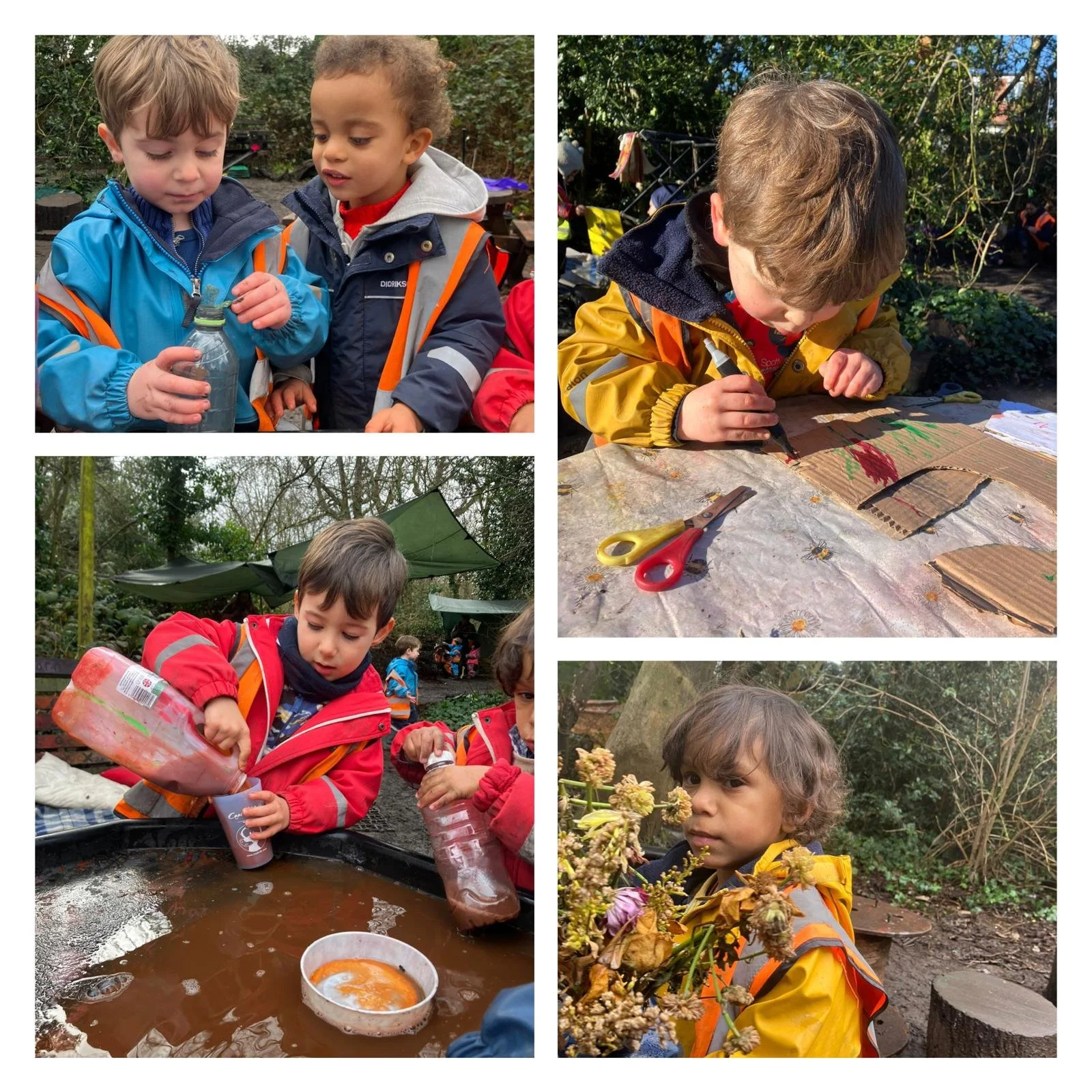 Twickenham - Curious Scientific Investigation