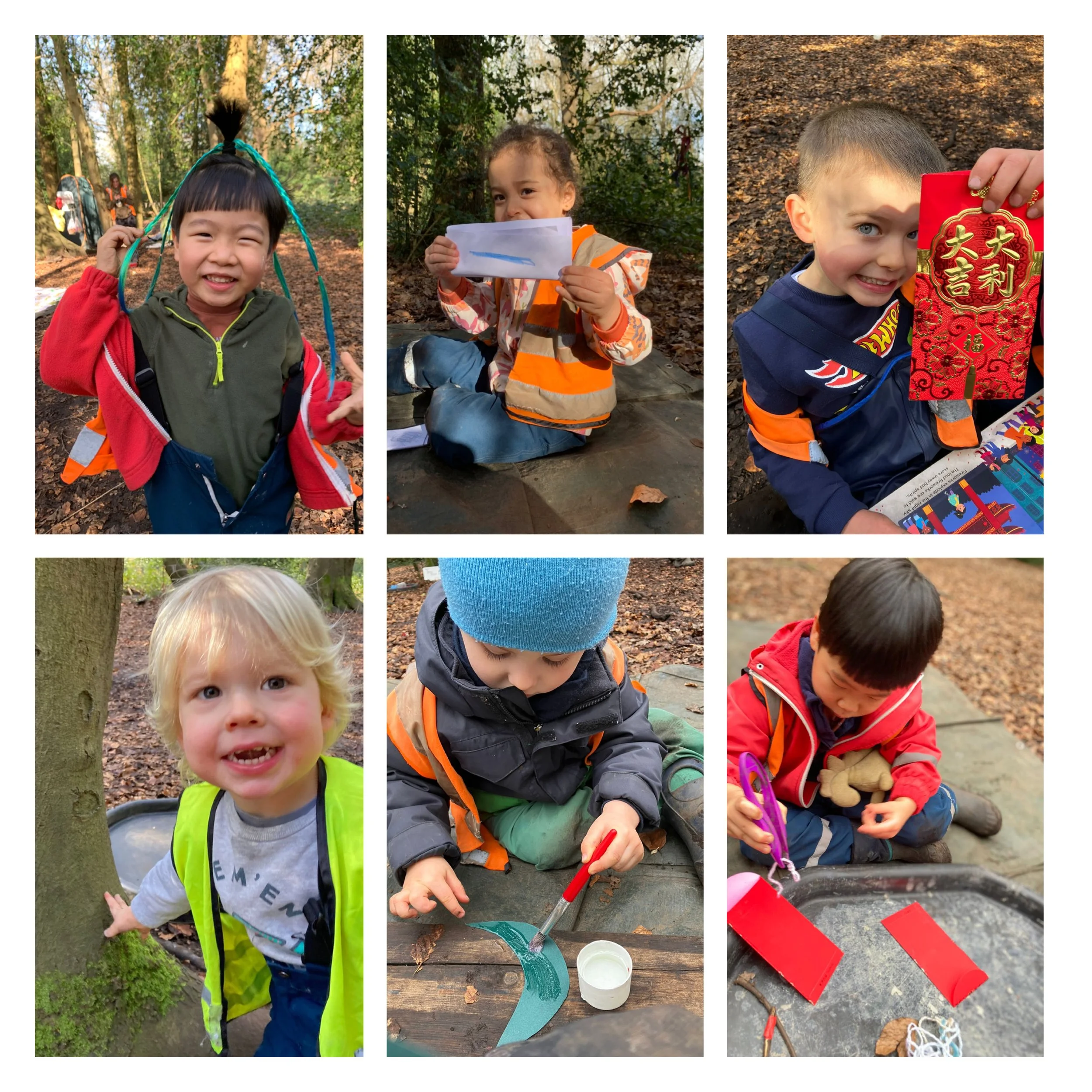 Putney Heath - Sunny Spells Brightening Our Time in the Forest