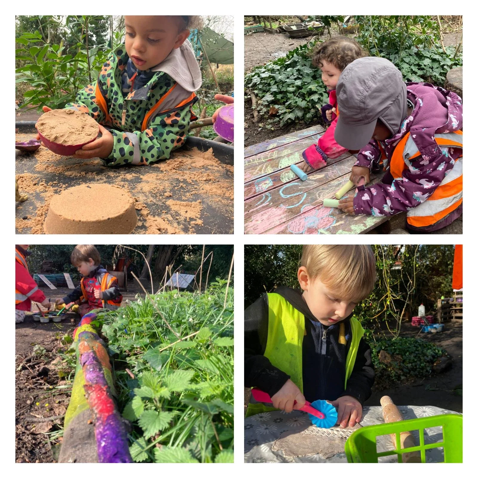 Twickenham - Plum and Cherry Blossom and Crocus Galore