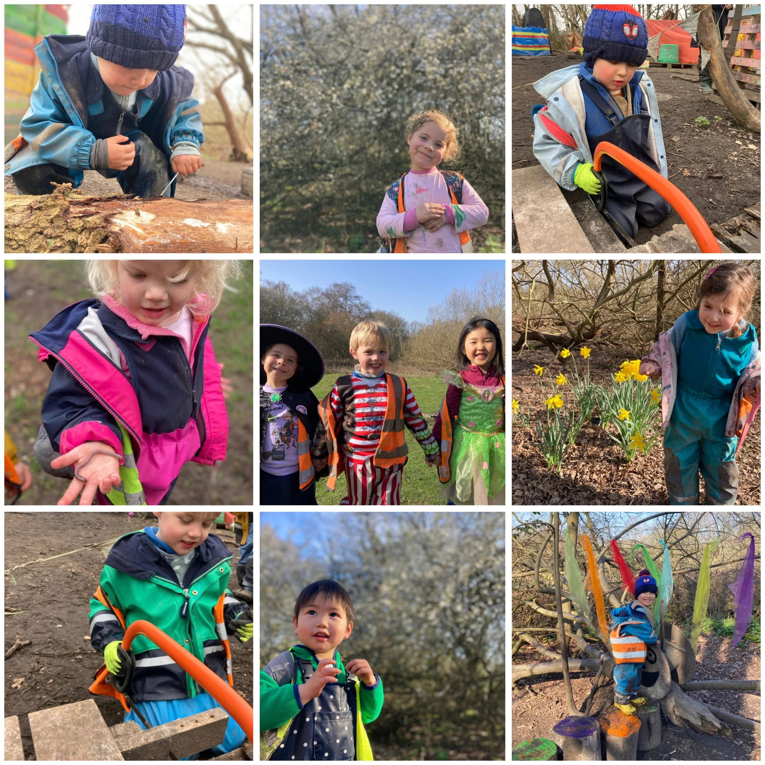 Wimbledon - Blossom, Spring Flowers and Baby Bunnies