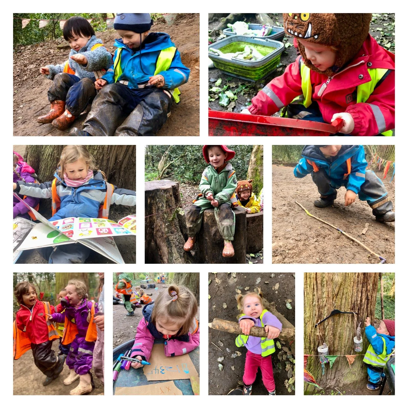 Chiswick - Ducks, Geese and Swans at the Wildlife Pond!