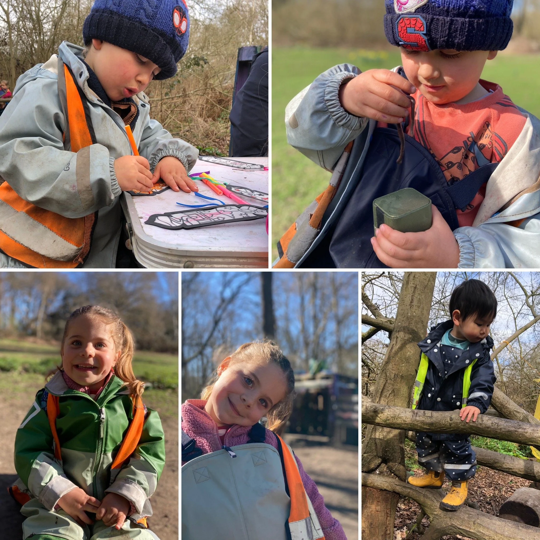 Wimbledon - A Hive of Activity!