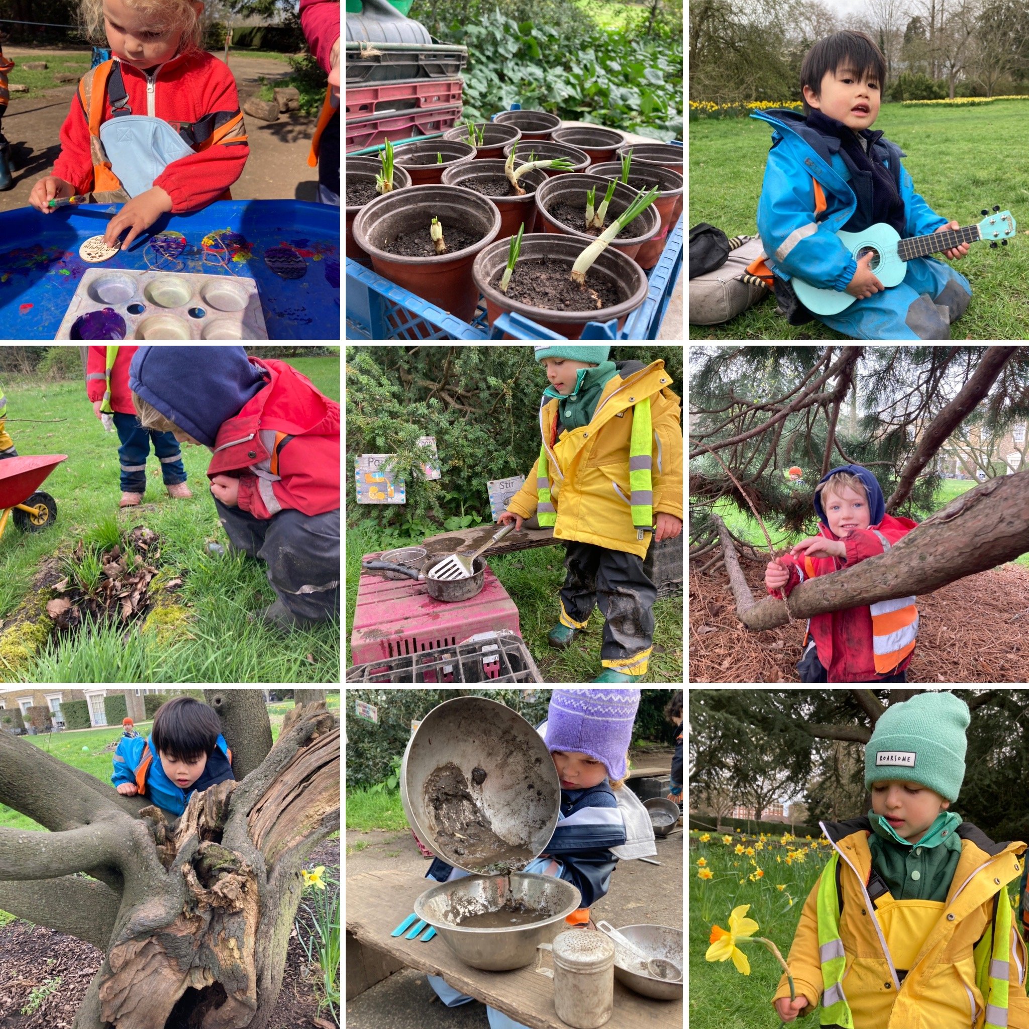 Fulham - 💛 A Magical Week of Sunshine, Honeybees and Fairies