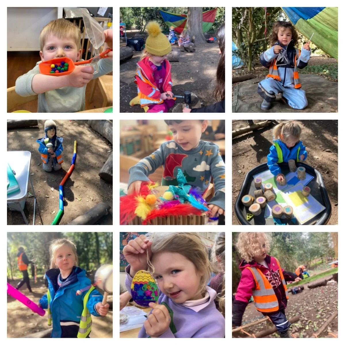 Chiswick - A Wild Week in the Forest!