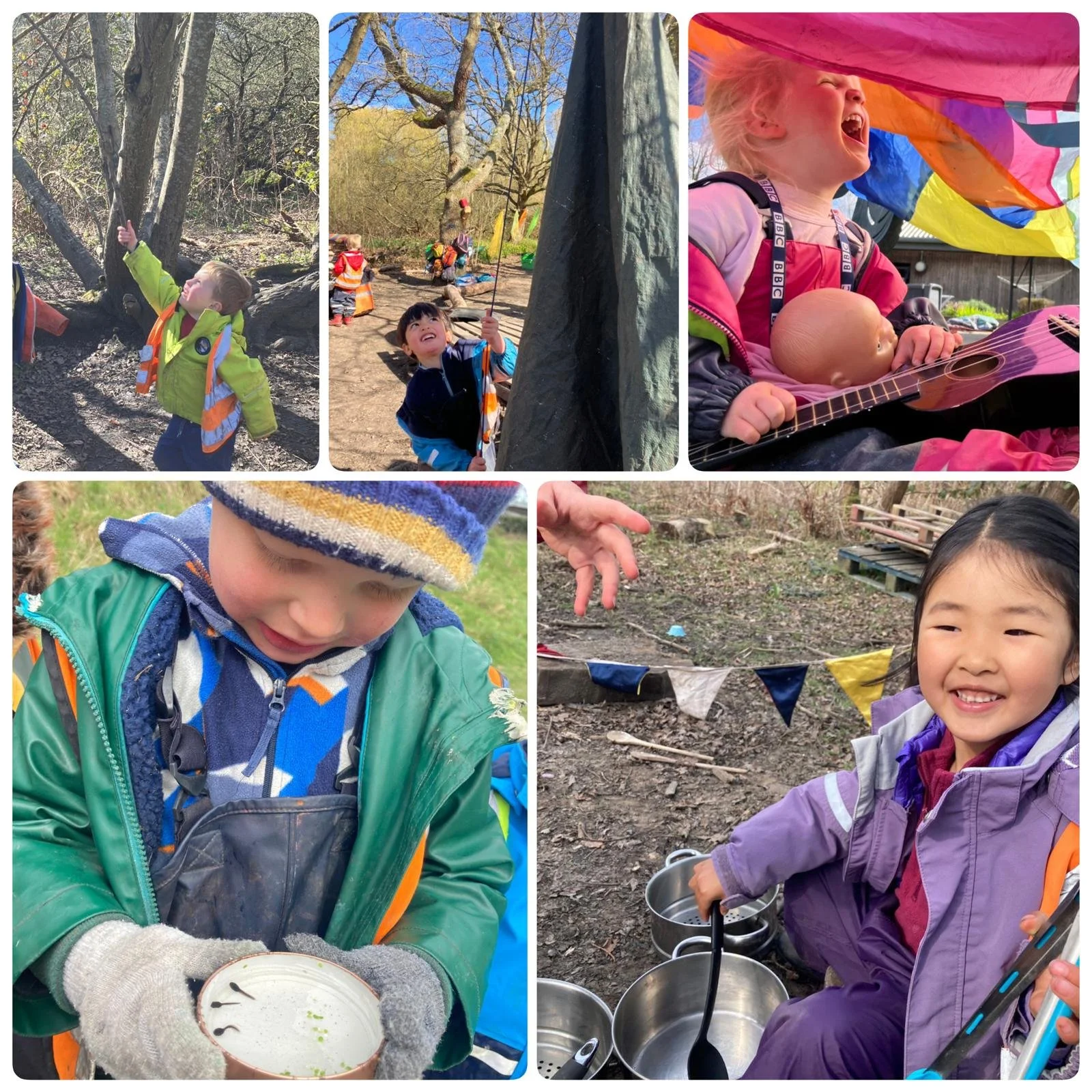 Wimbledon - Exciting News From the Pond!