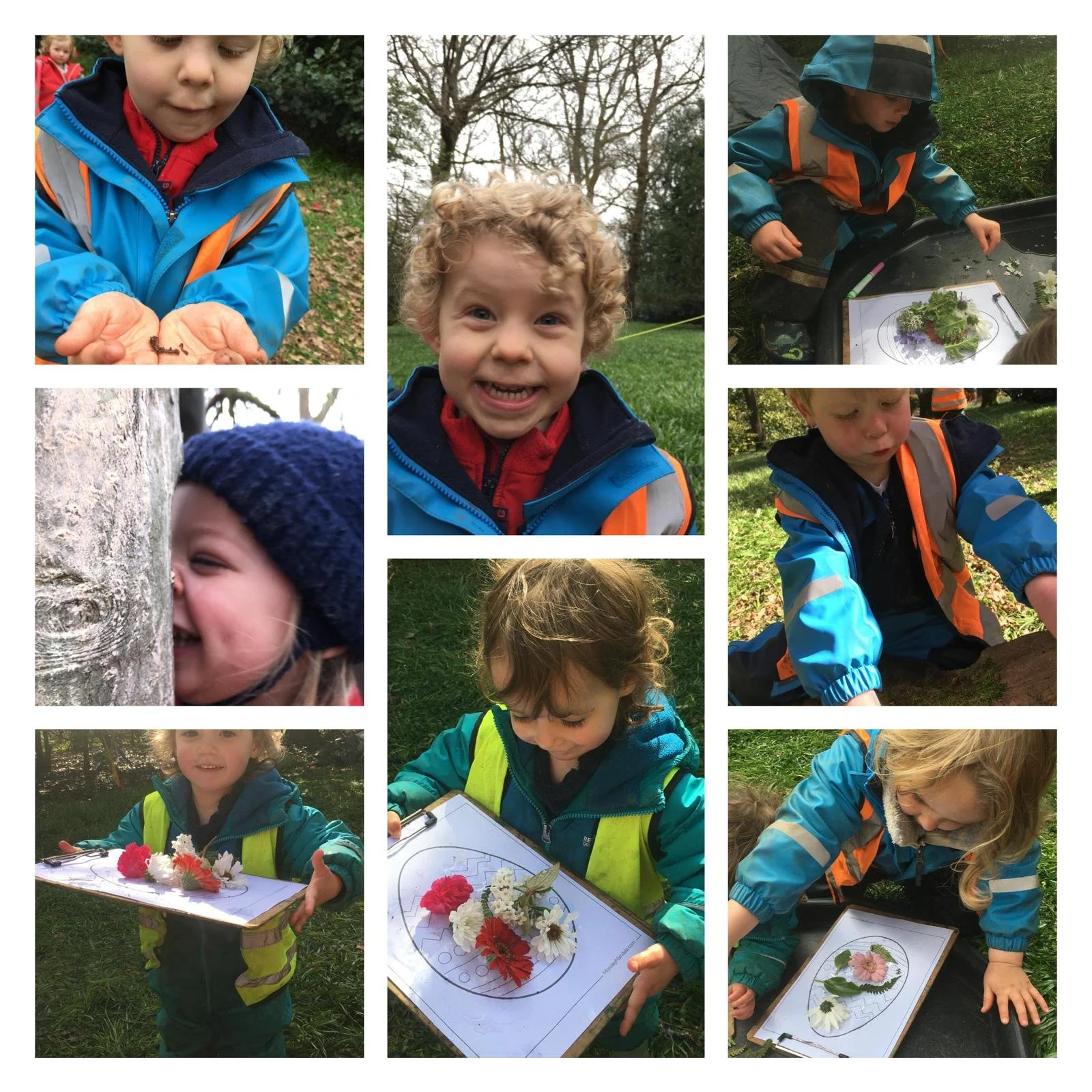 Winkworth - Bluebells in Bloom and Tree Climbing