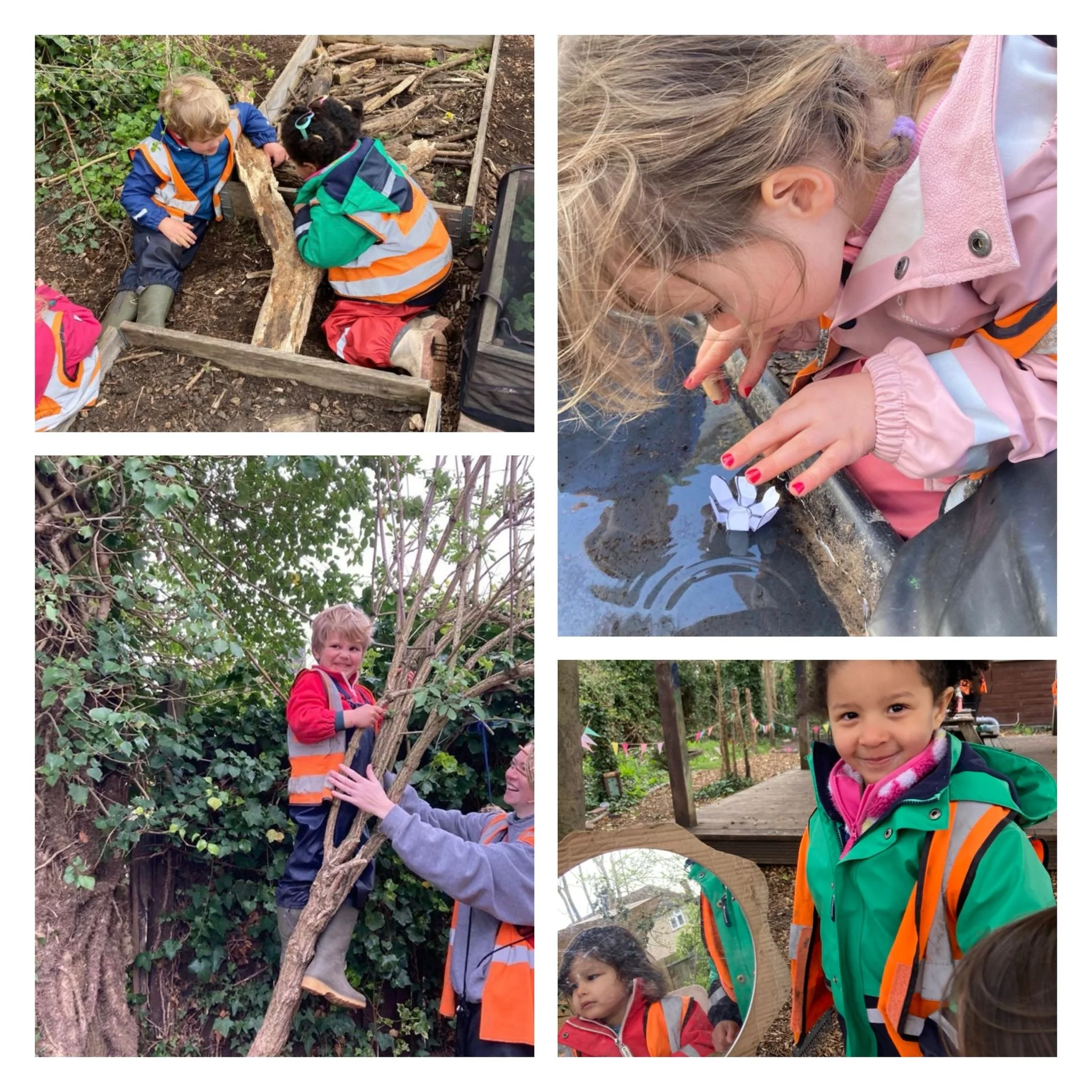 Morden - ⭐️ Water, Air and Sunlight!” 🎶