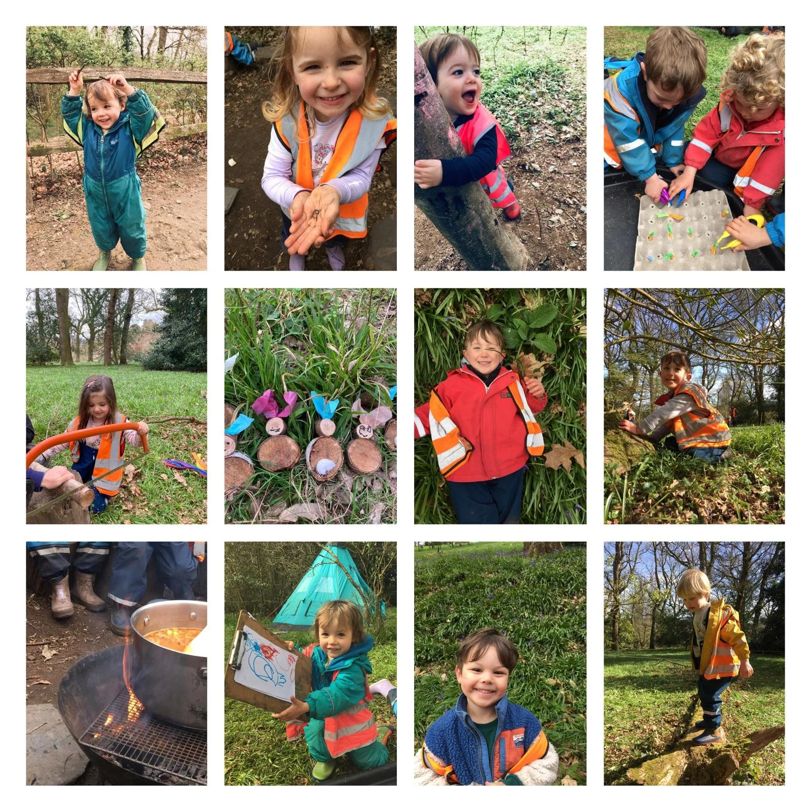 Winkworth - Bluebells, Blossom and Woodpeckers Galore!