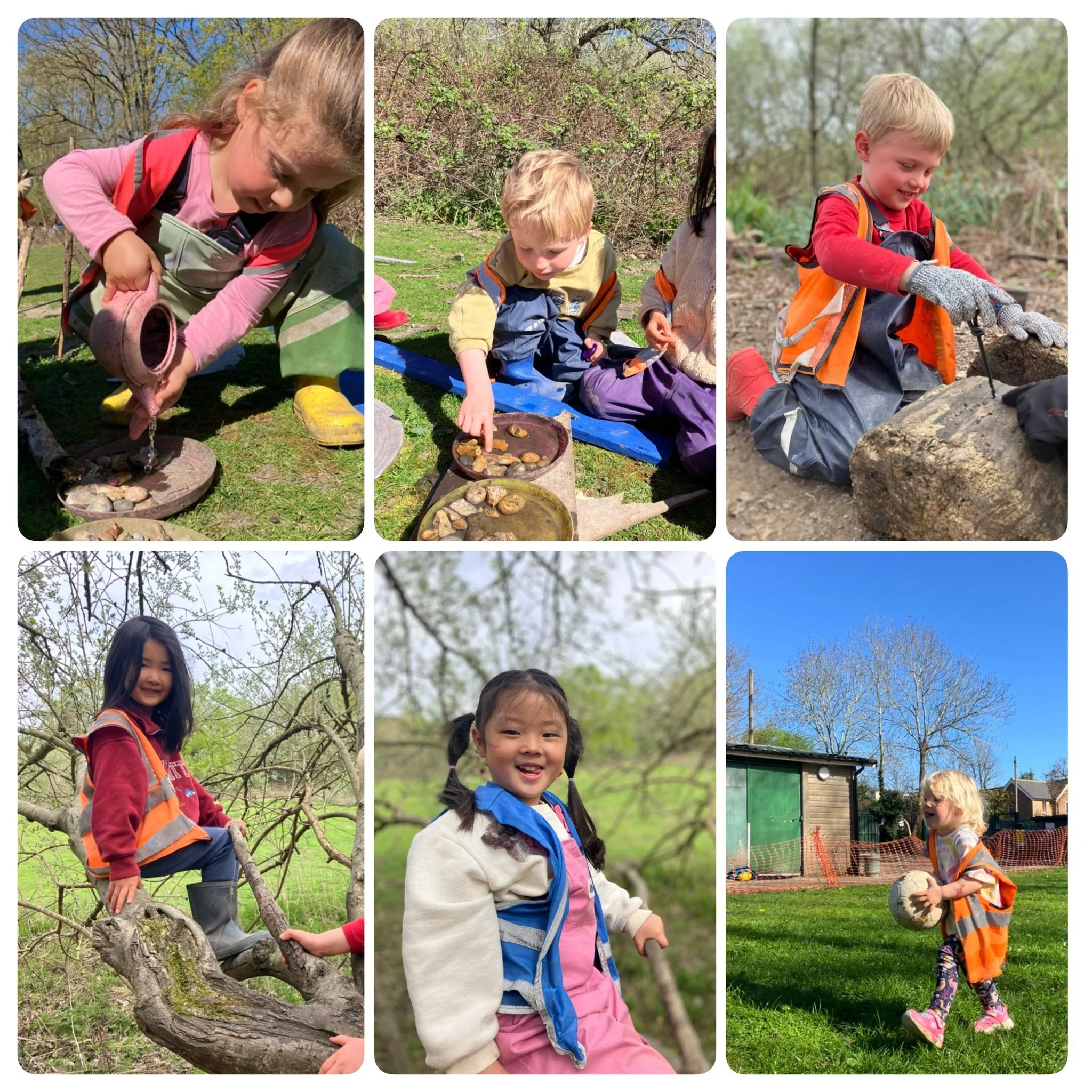 Wimbledon - Education About Bees & How We Can Help The!