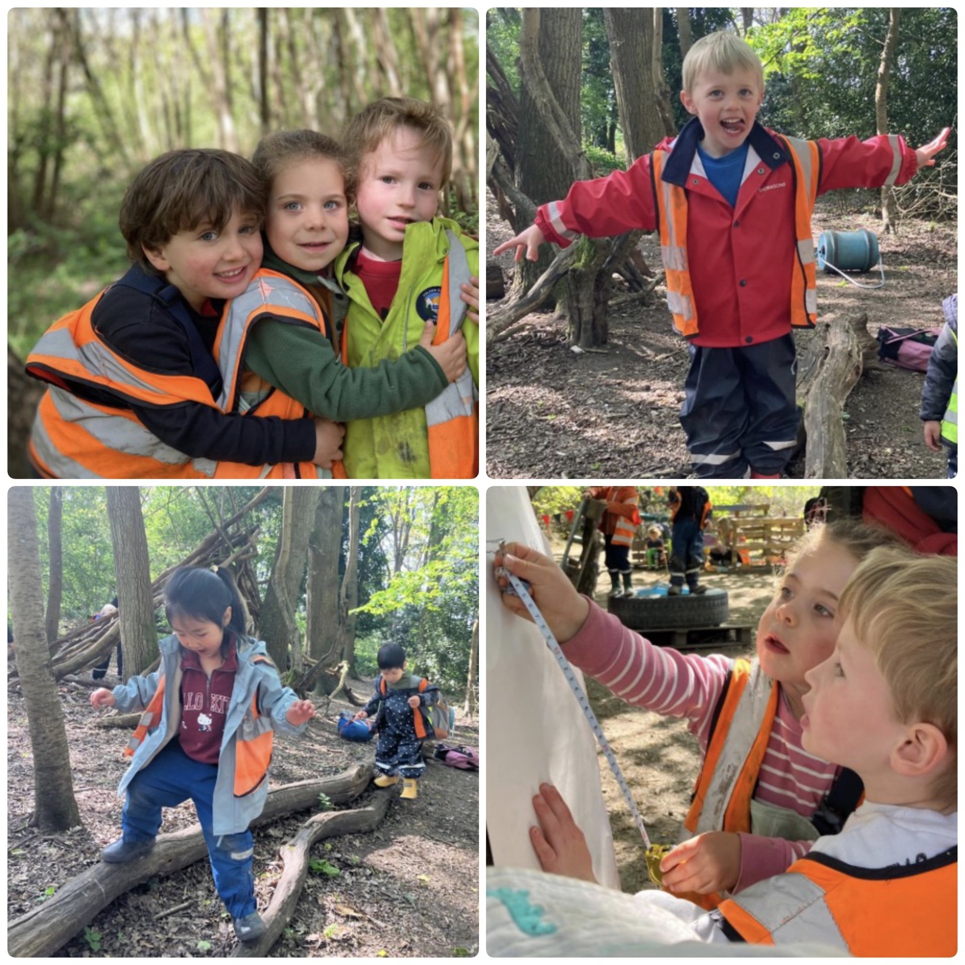 Wimbledon - Balancing Bridges and Navigating Trees