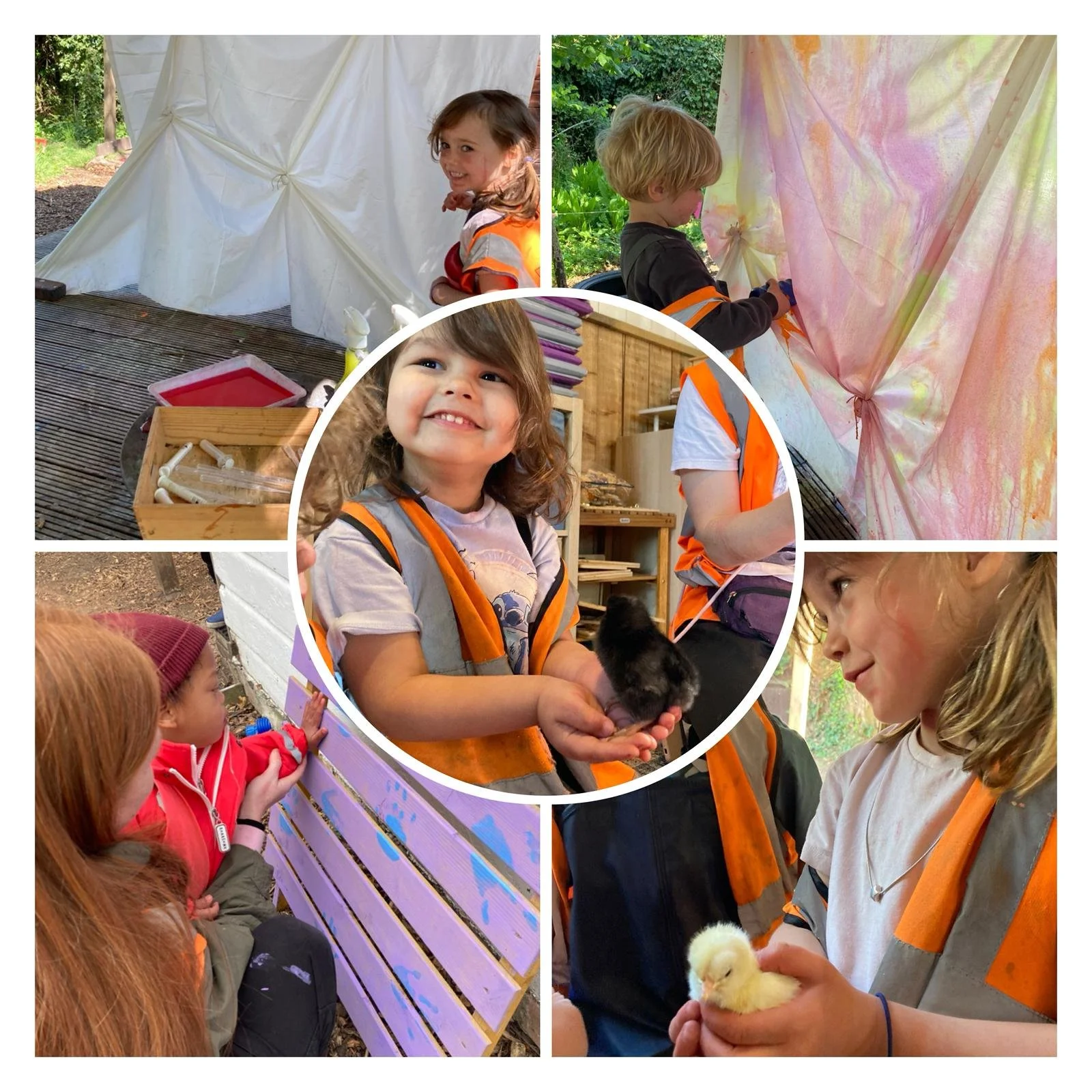 Morden - ⭐️ Our Real Life Easter Chick Hatch 🐣