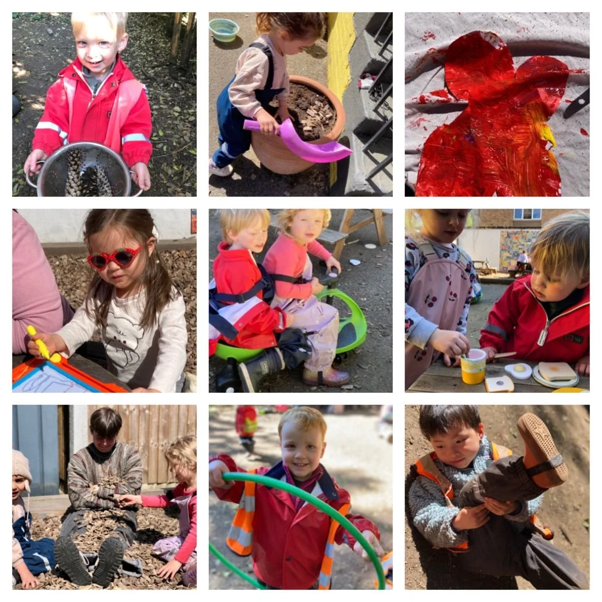 Chiswick  -  The Lifecycle of Frogs and Butterflies with Nest Spotting